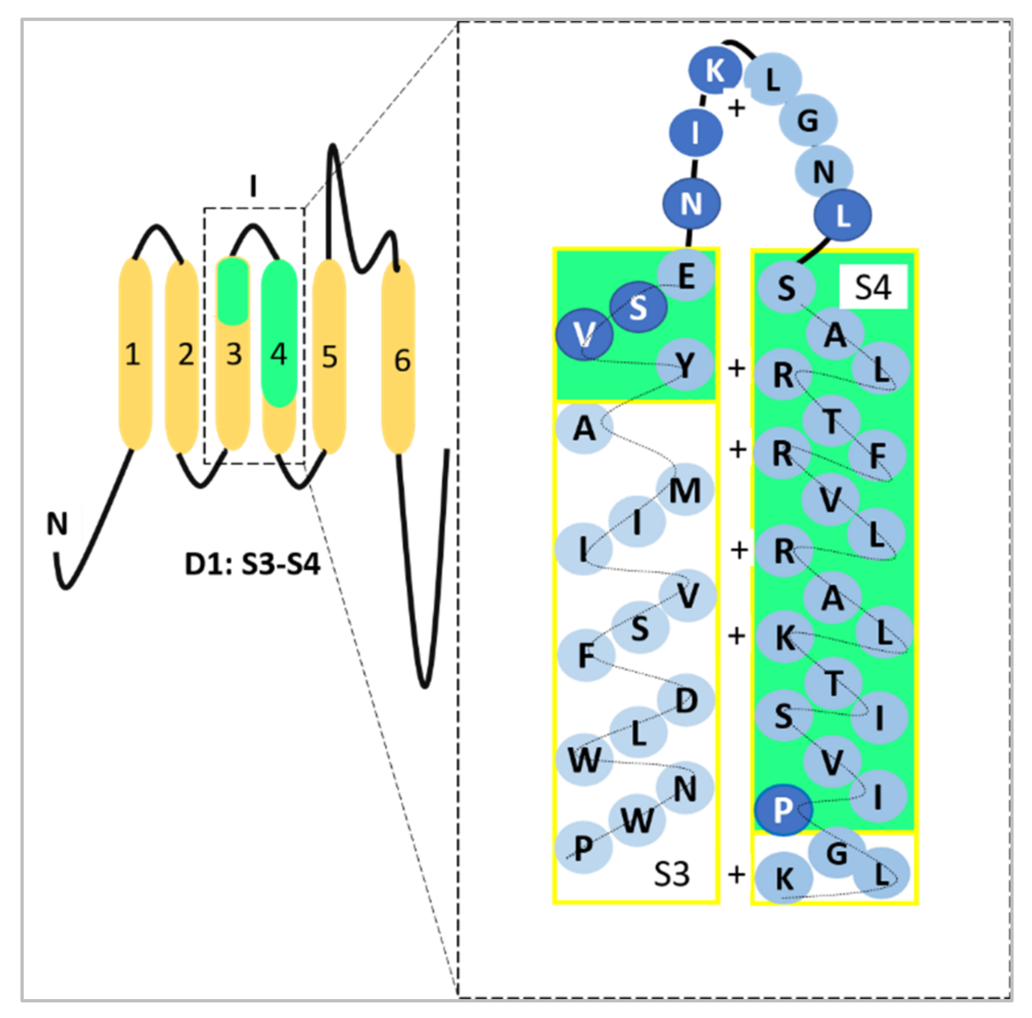 Biomolecules 12 00310 g002