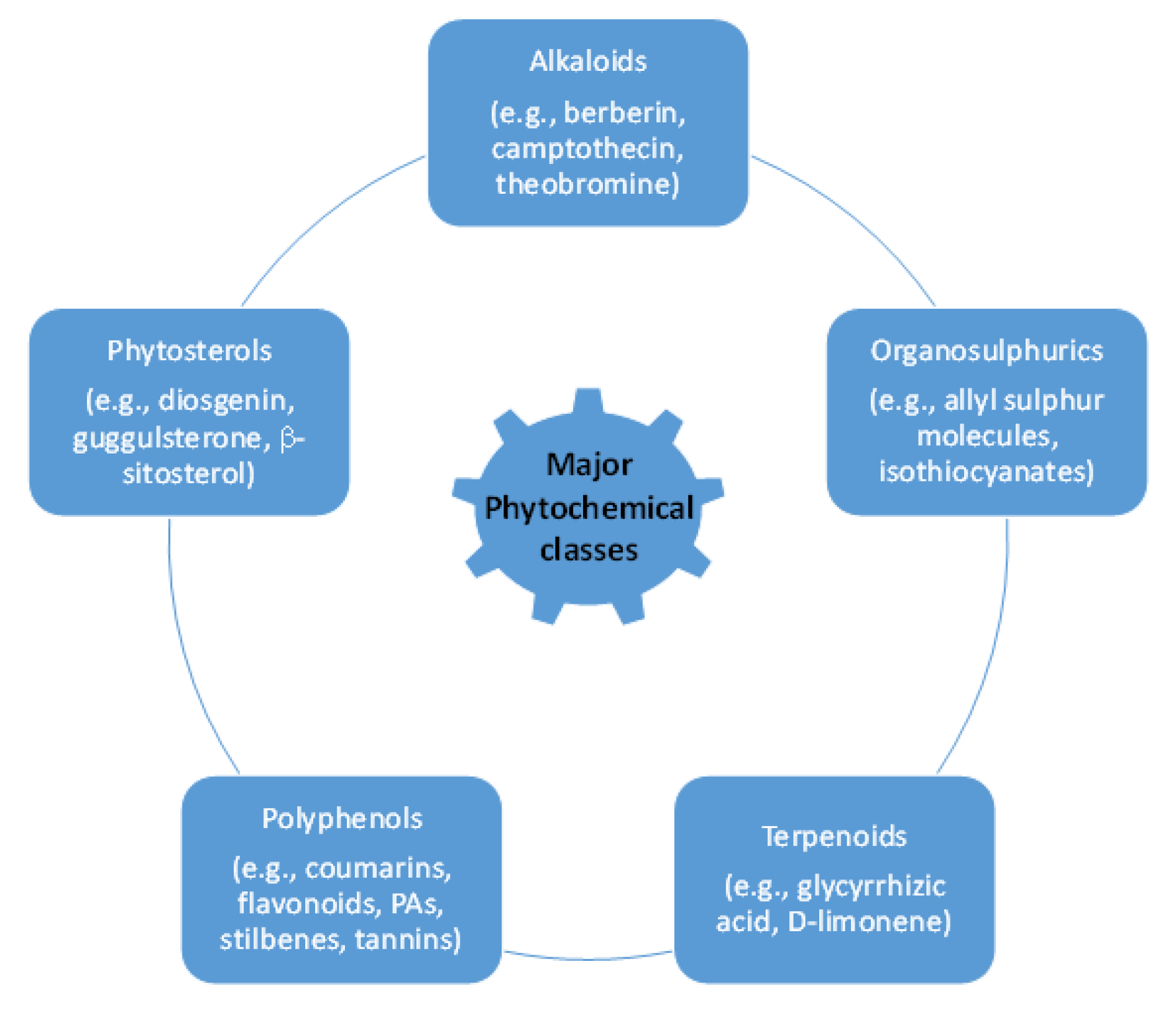 Biomolecules 12 00311 g002 Biomolecules 12 00311 g002