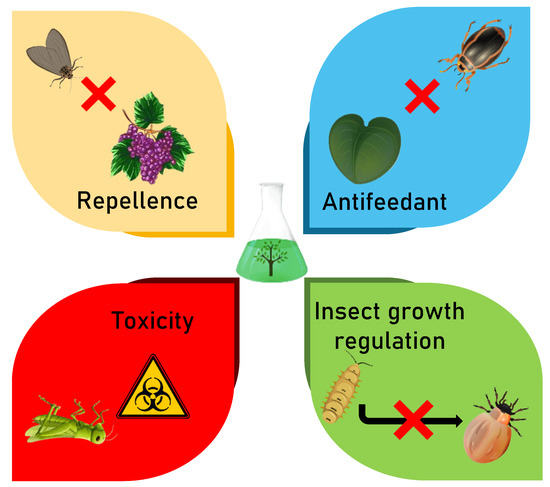 bee Status and Prospects of Botanical Biopesticides in Europe