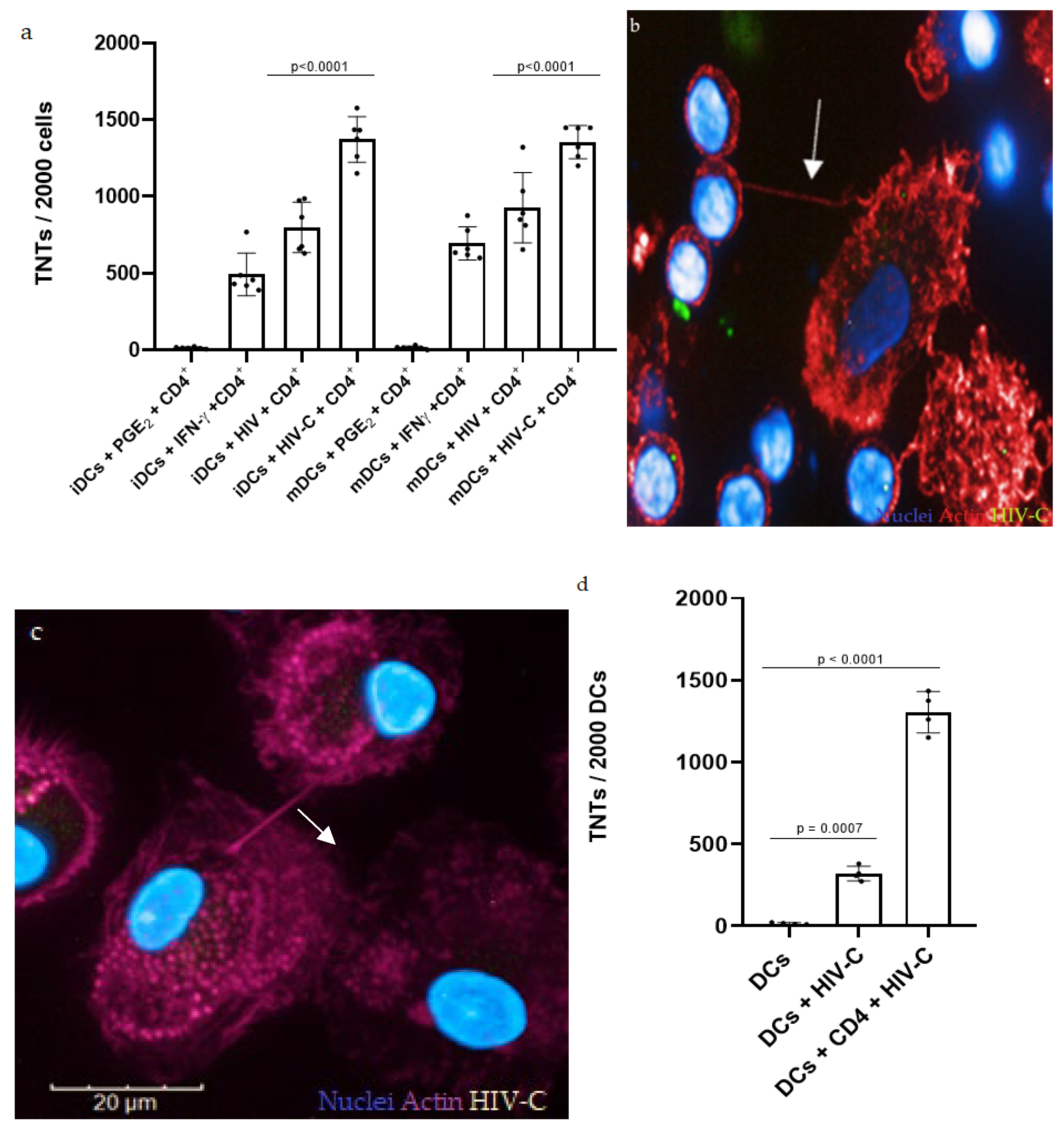 Biomolecules 12 00313 g001a 550