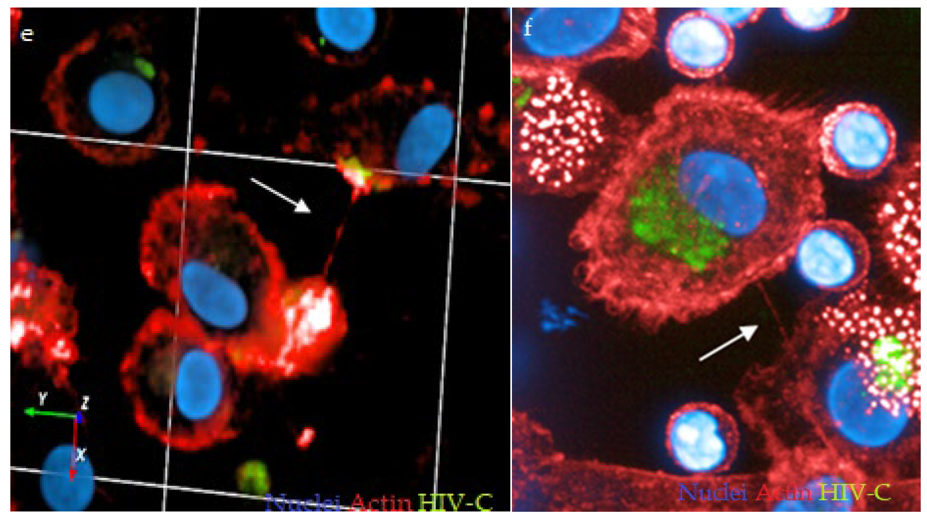 Biomolecules 12 00313 g001b 550