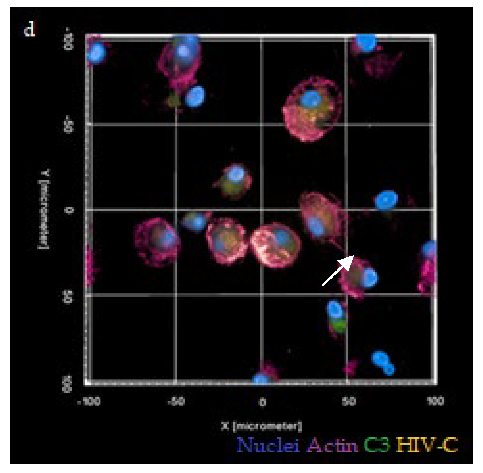 Biomolecules 12 00313 g004b 550