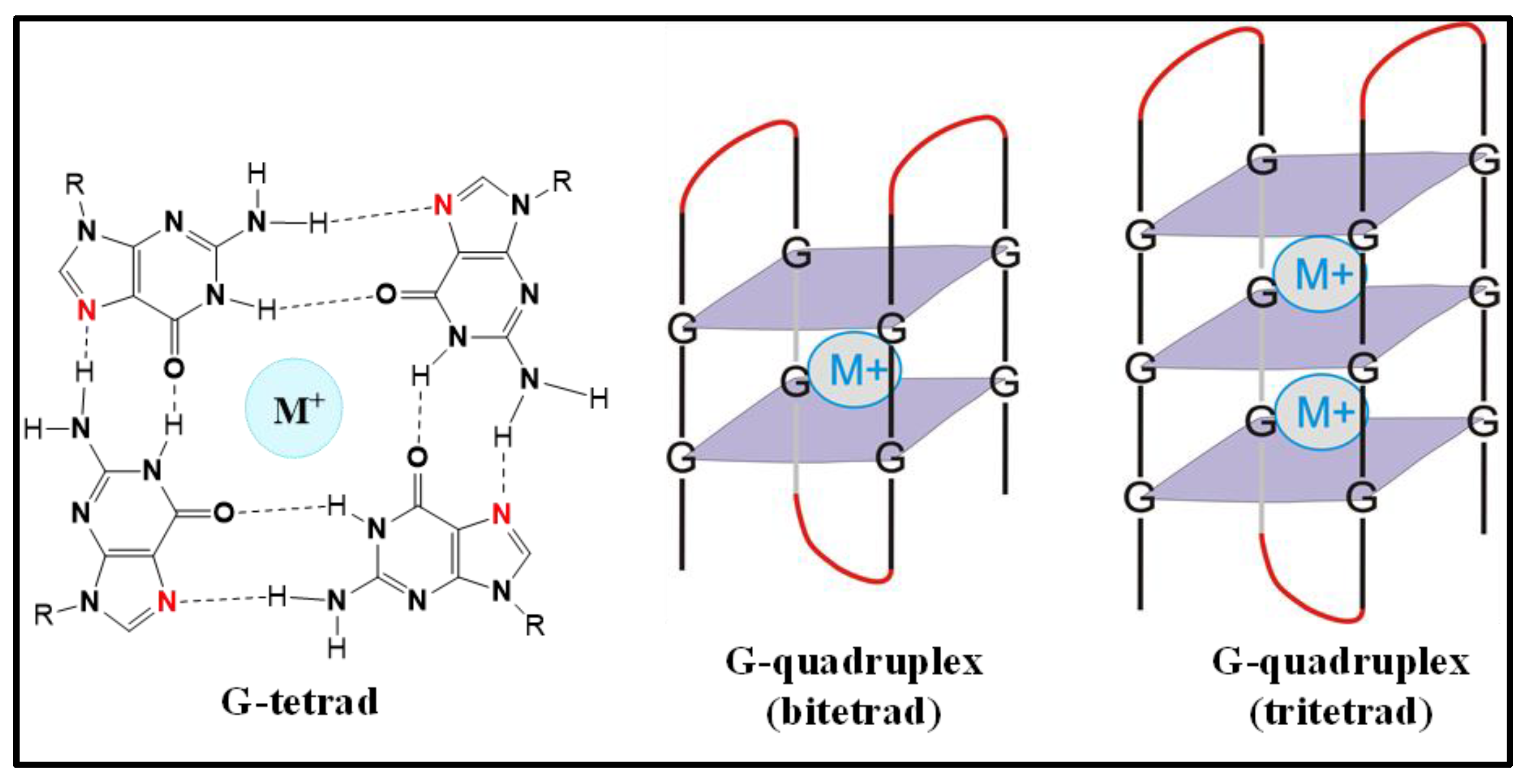 Biomolecules 12 00314 g001 Biomolecules 12 00314 g001