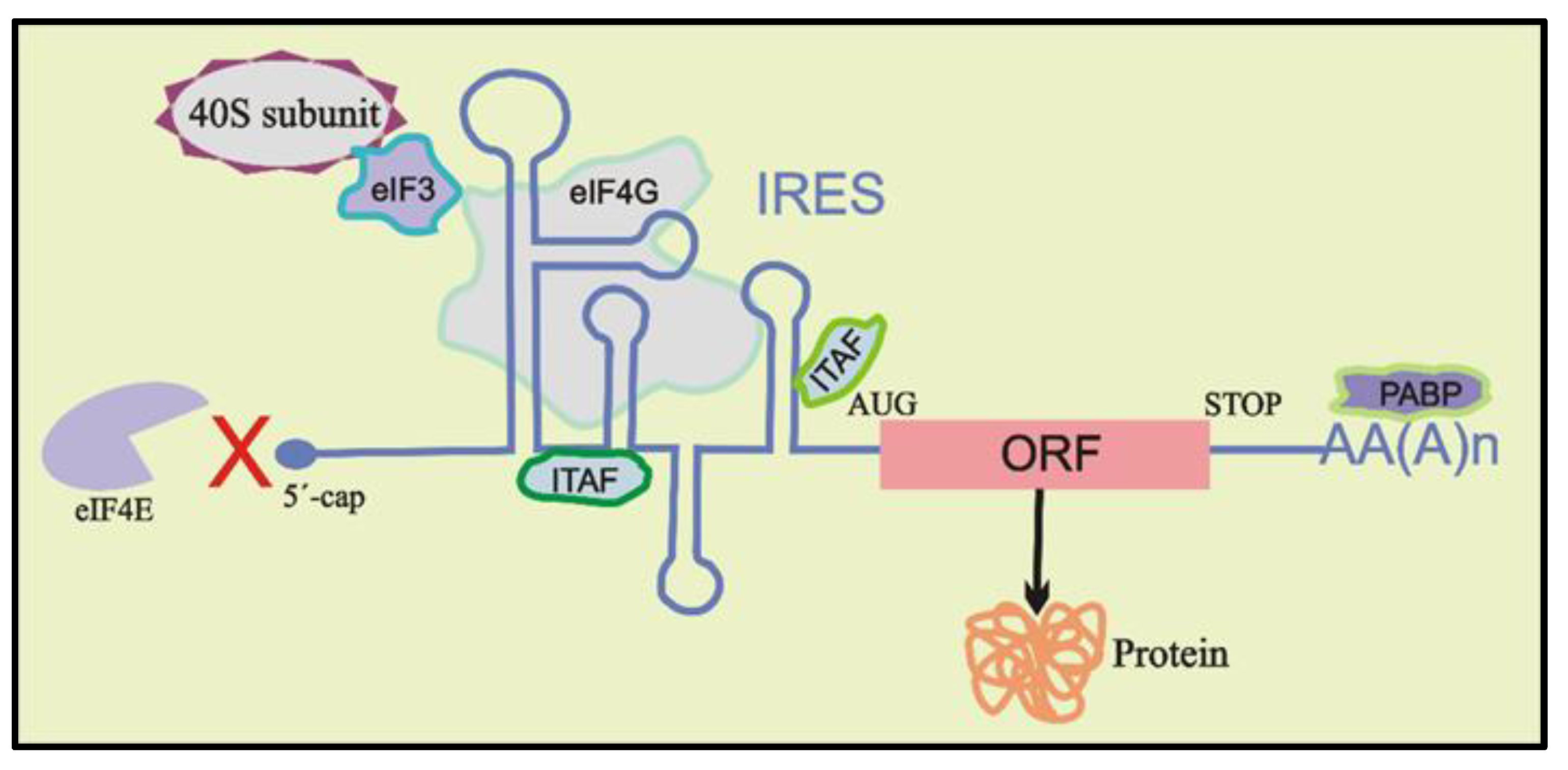 Biomolecules 12 00314 g002 Biomolecules 12 00314 g002