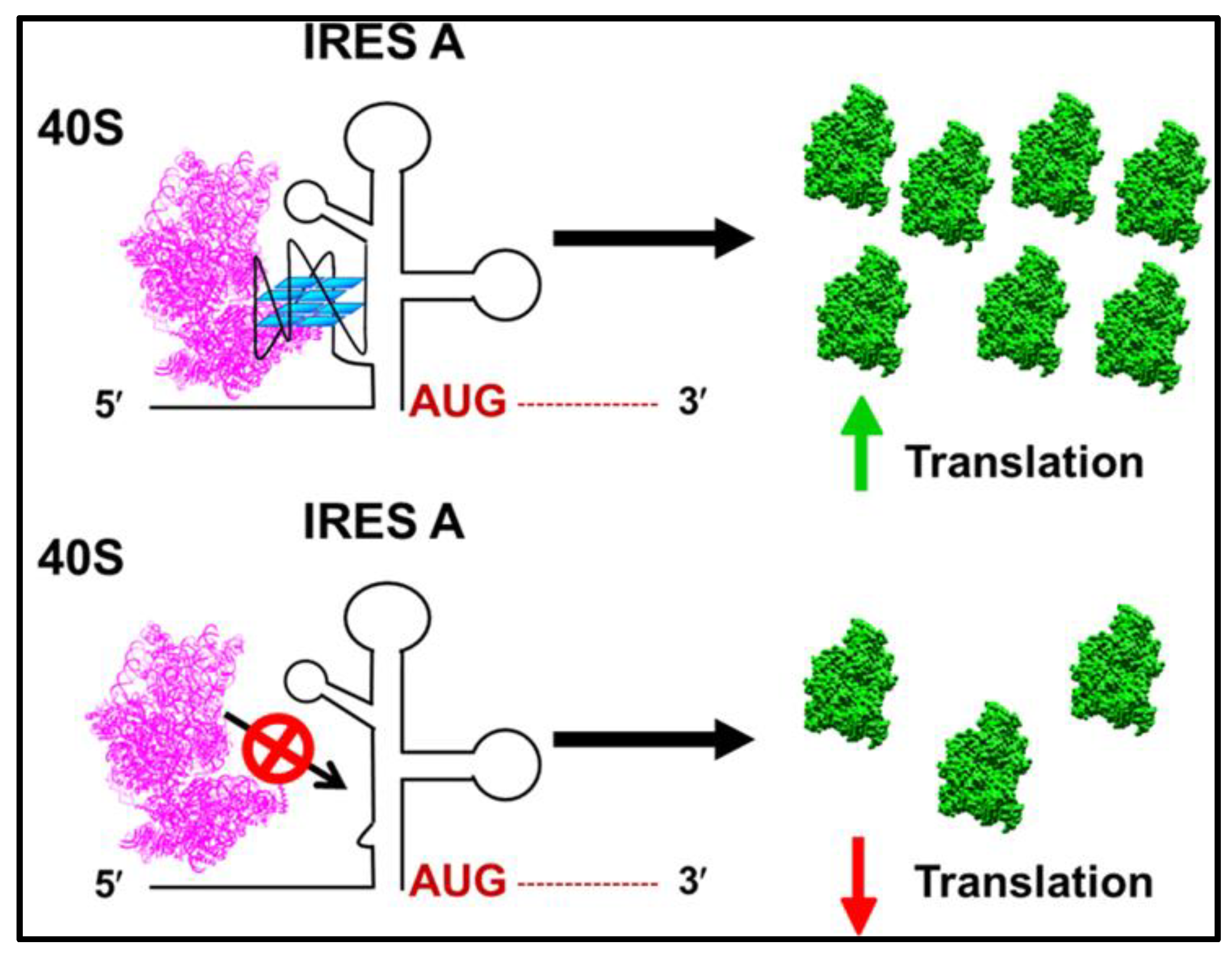Biomolecules 12 00314 g003 Biomolecules 12 00314 g003