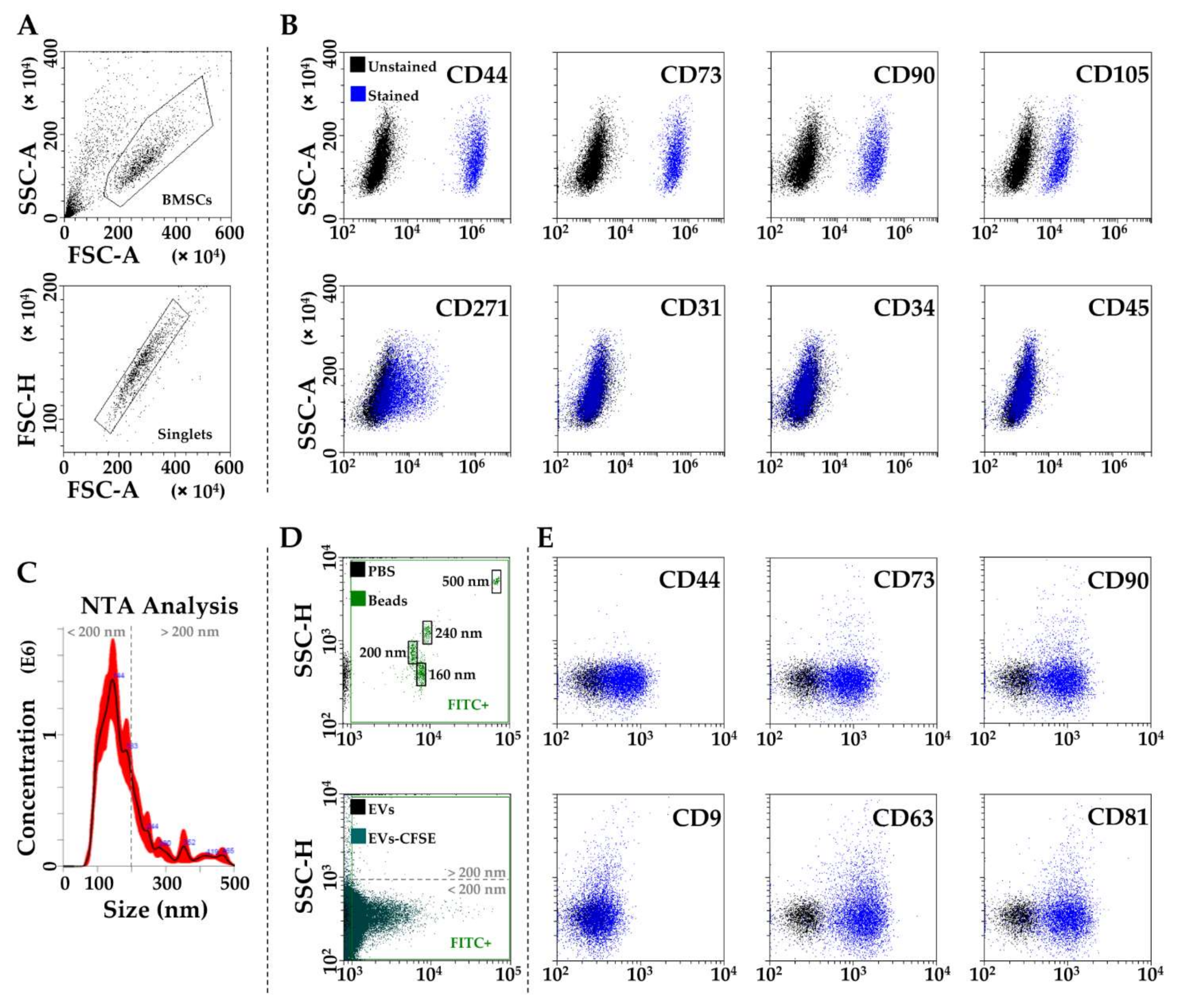 Biomolecules 12 00316 g001 Biomolecules 12 00316 g001