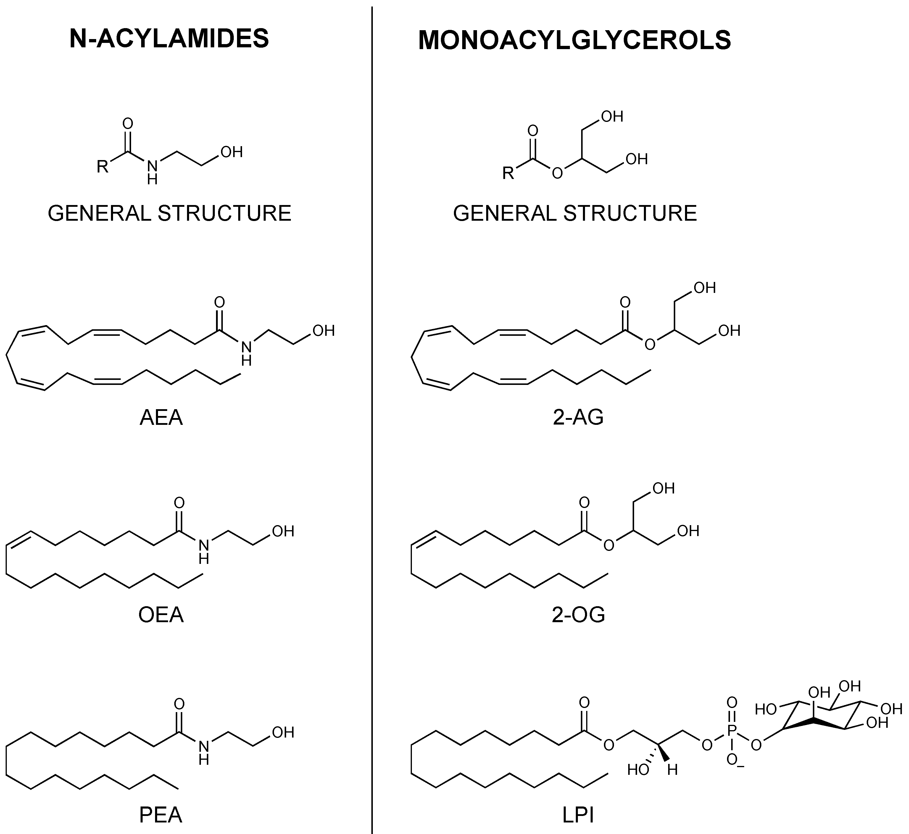 Biomolecules 12 00320 g001