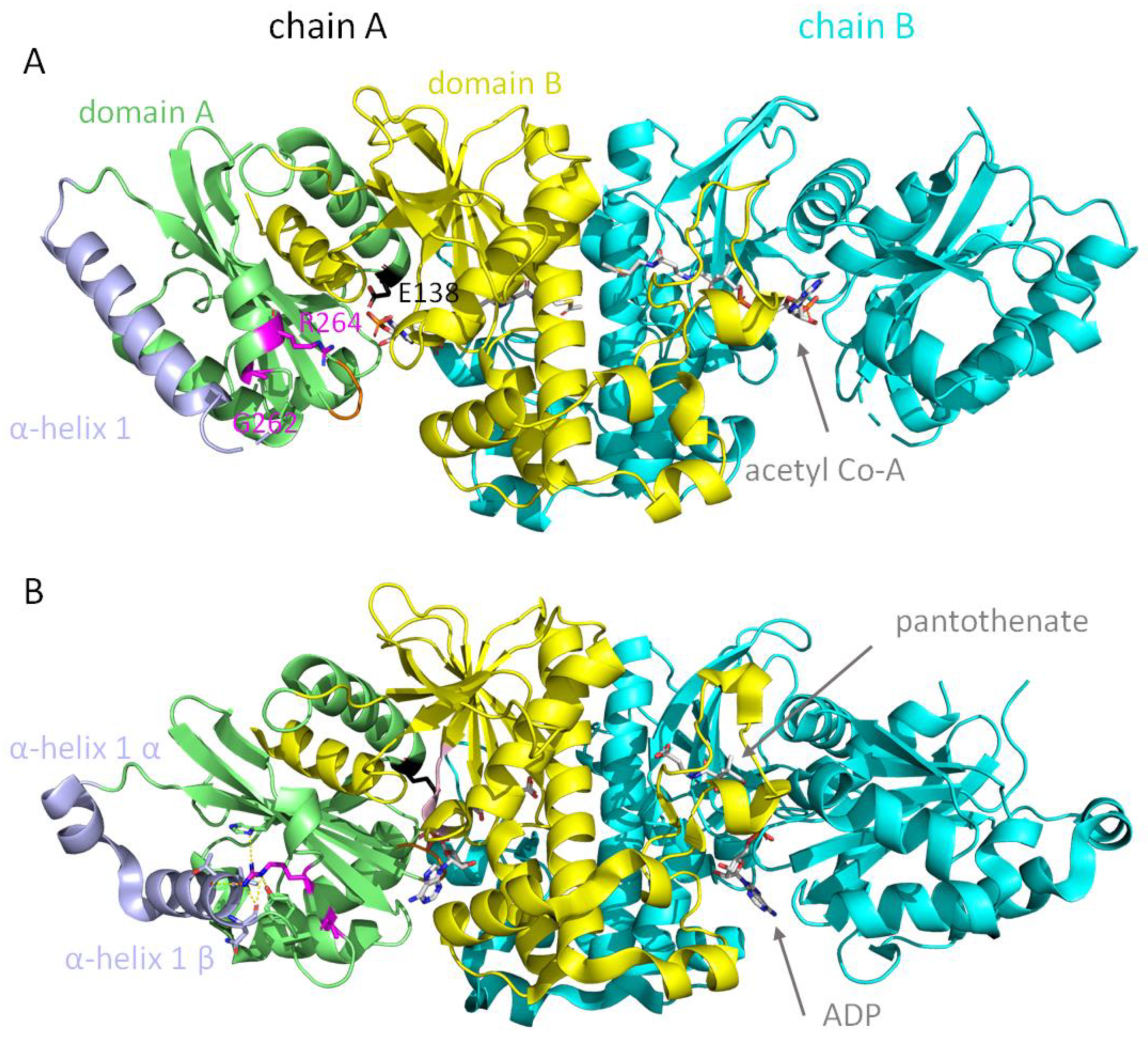 Biomolecules 12 00325 g003 550