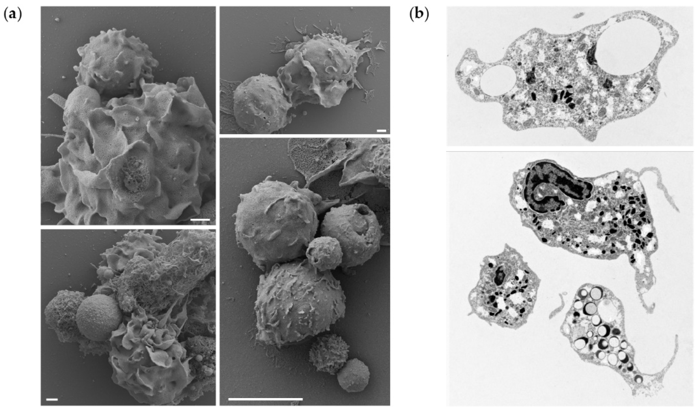 Biomolecules 12 00326 g005 550