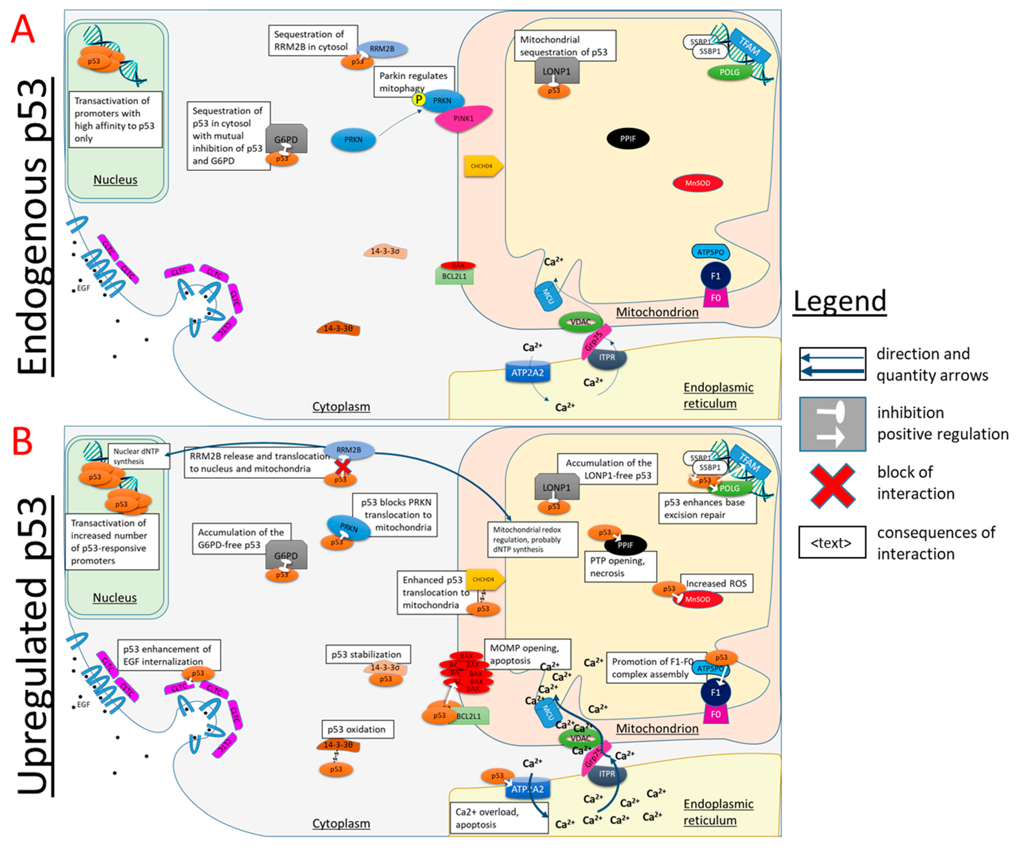 Biomolecules 12 00327 g005 Biomolecules 12 00327 g005