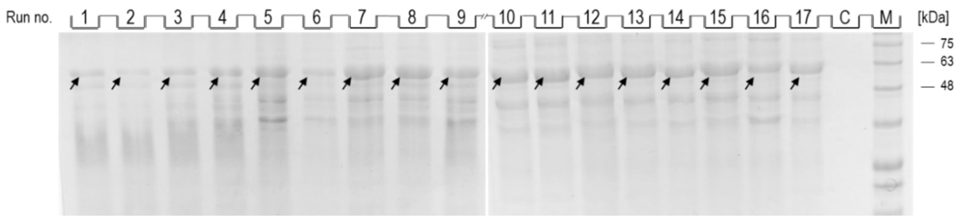 Biomolecules 12 00331 g003