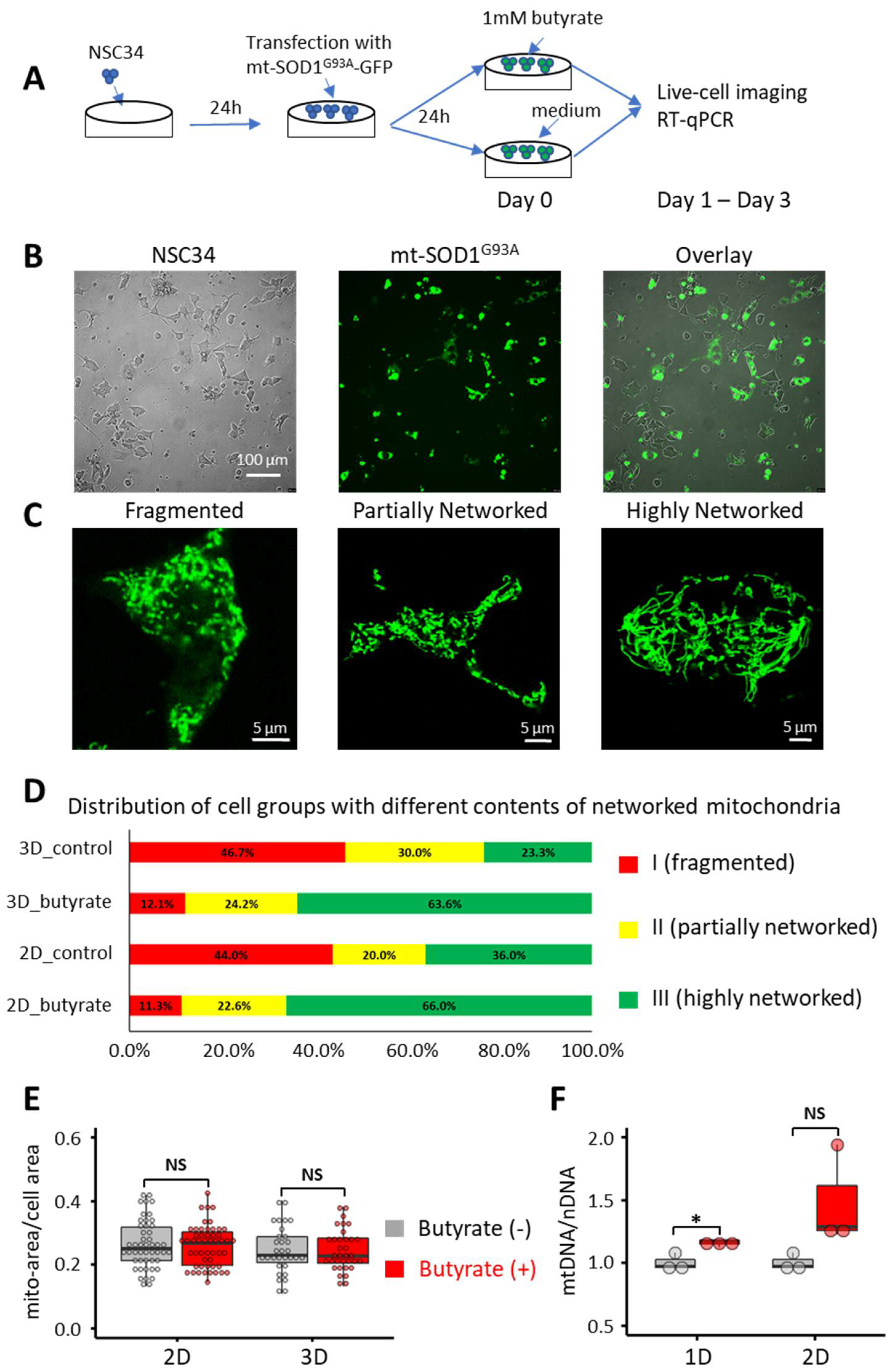 Biomolecules 12 00333 g001 550