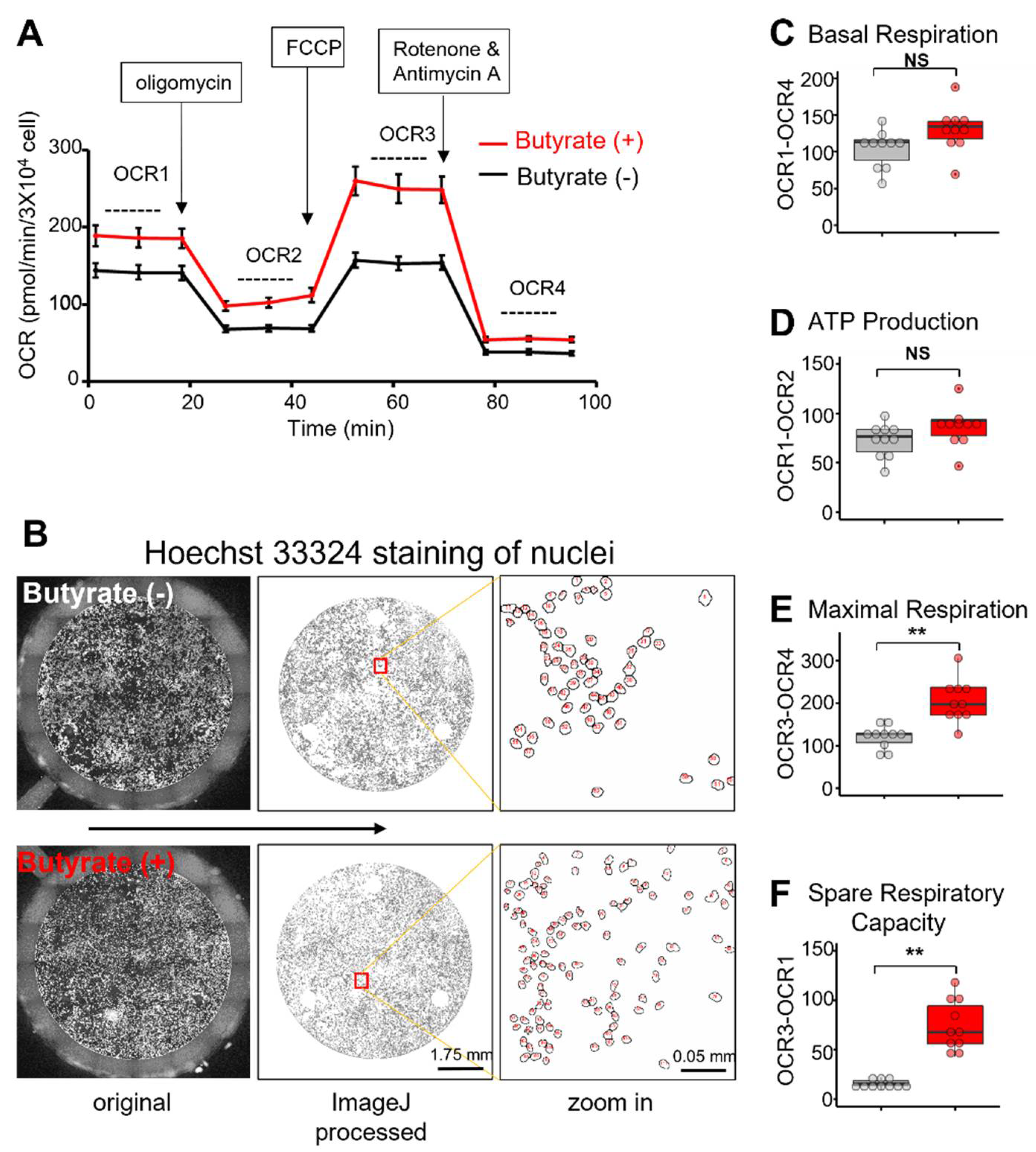 Biomolecules 12 00333 g002 550