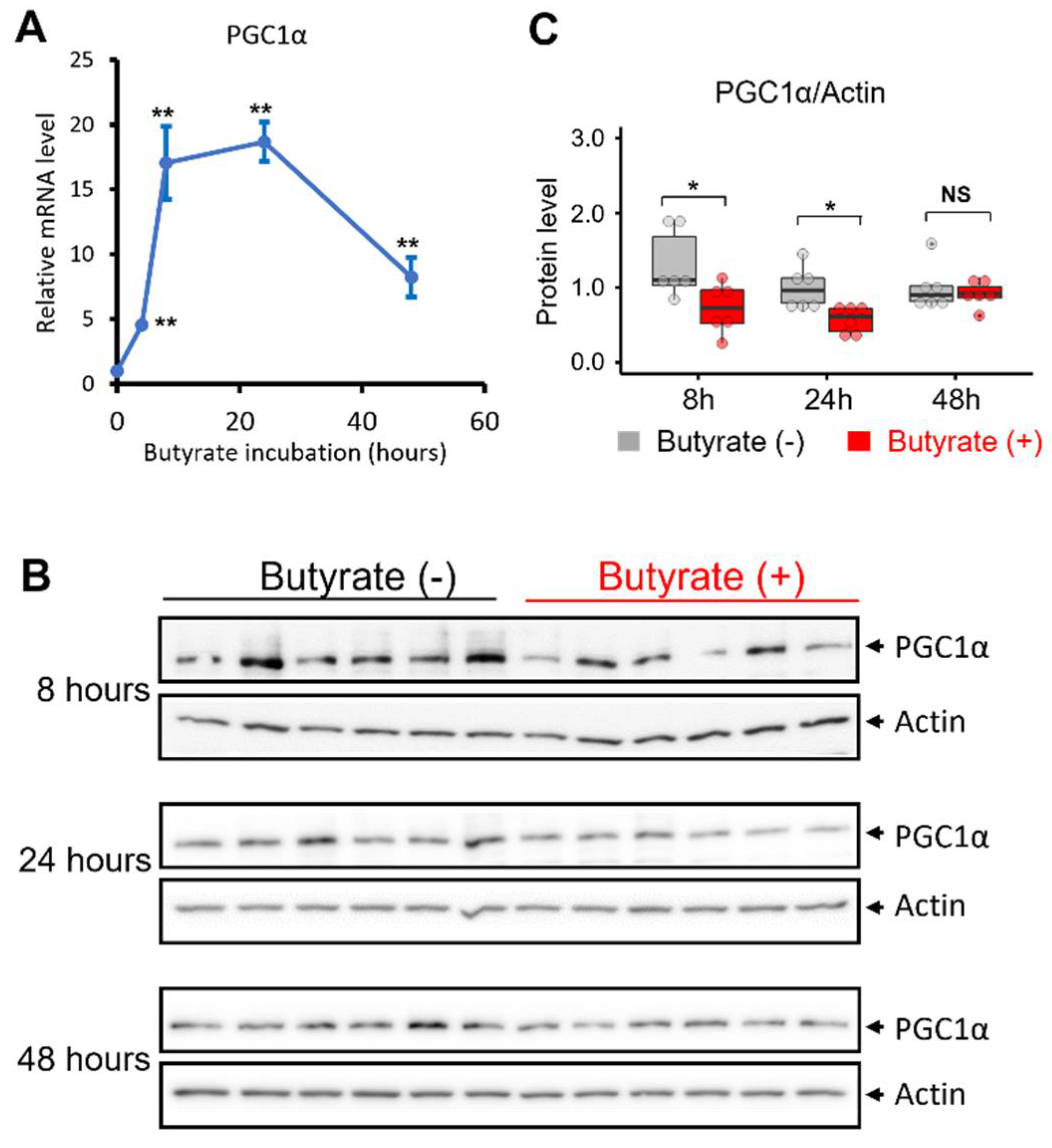 Biomolecules 12 00333 g003 550
