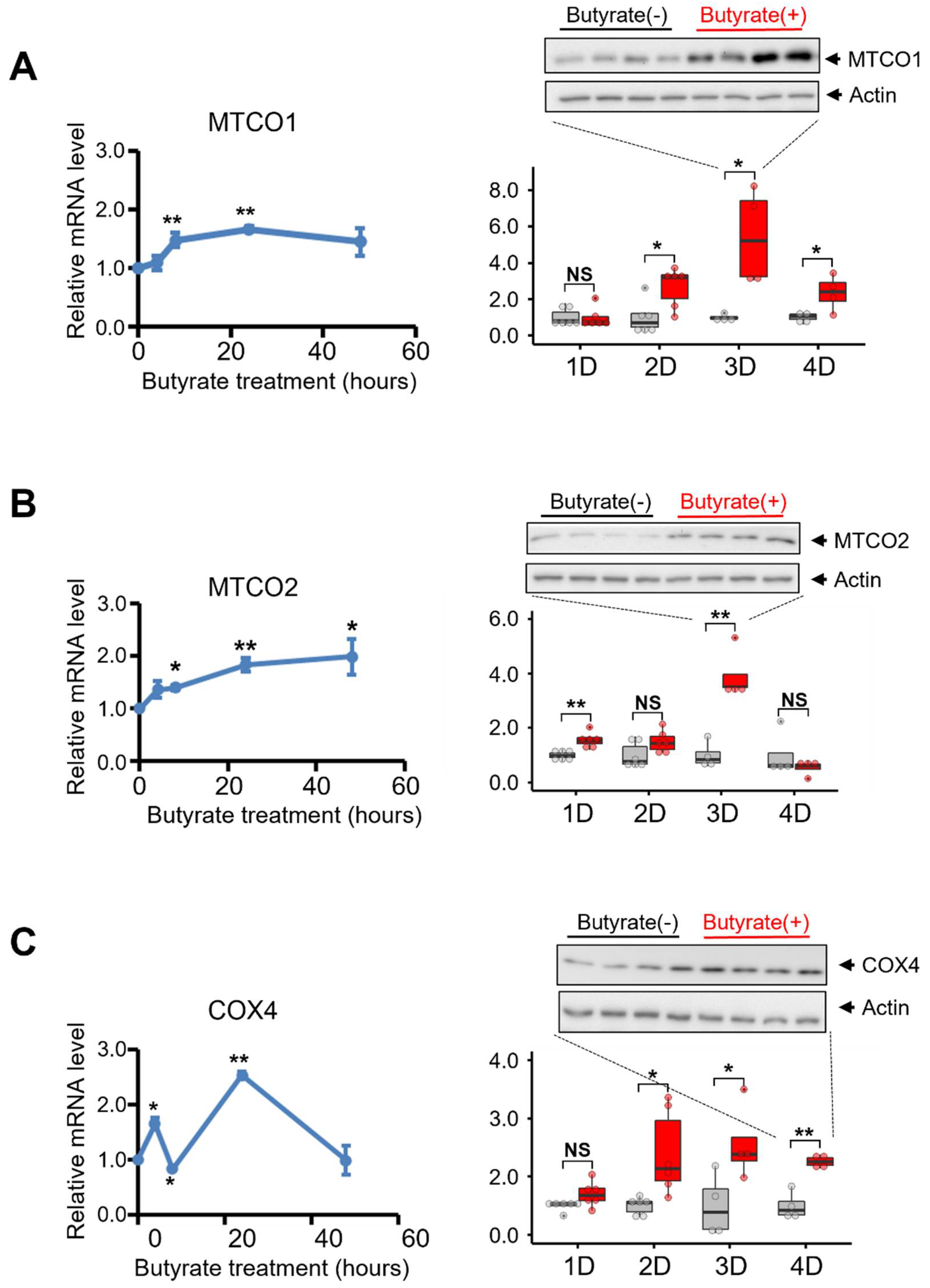 Biomolecules 12 00333 g005 550