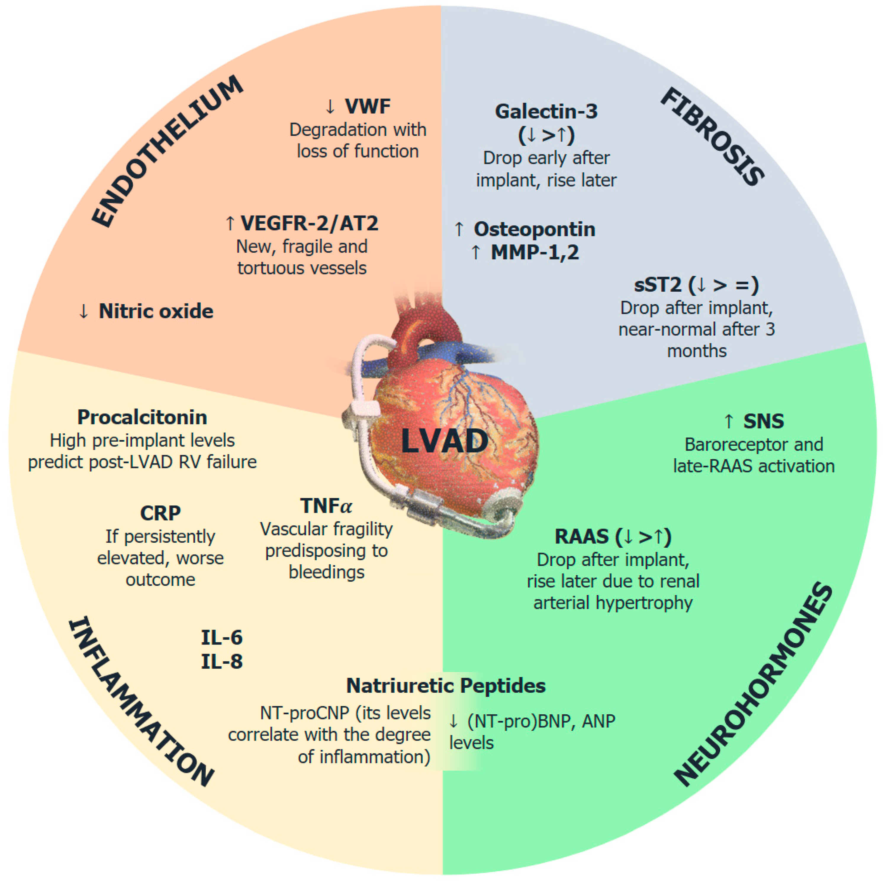Biomolecules 12 00334 g001