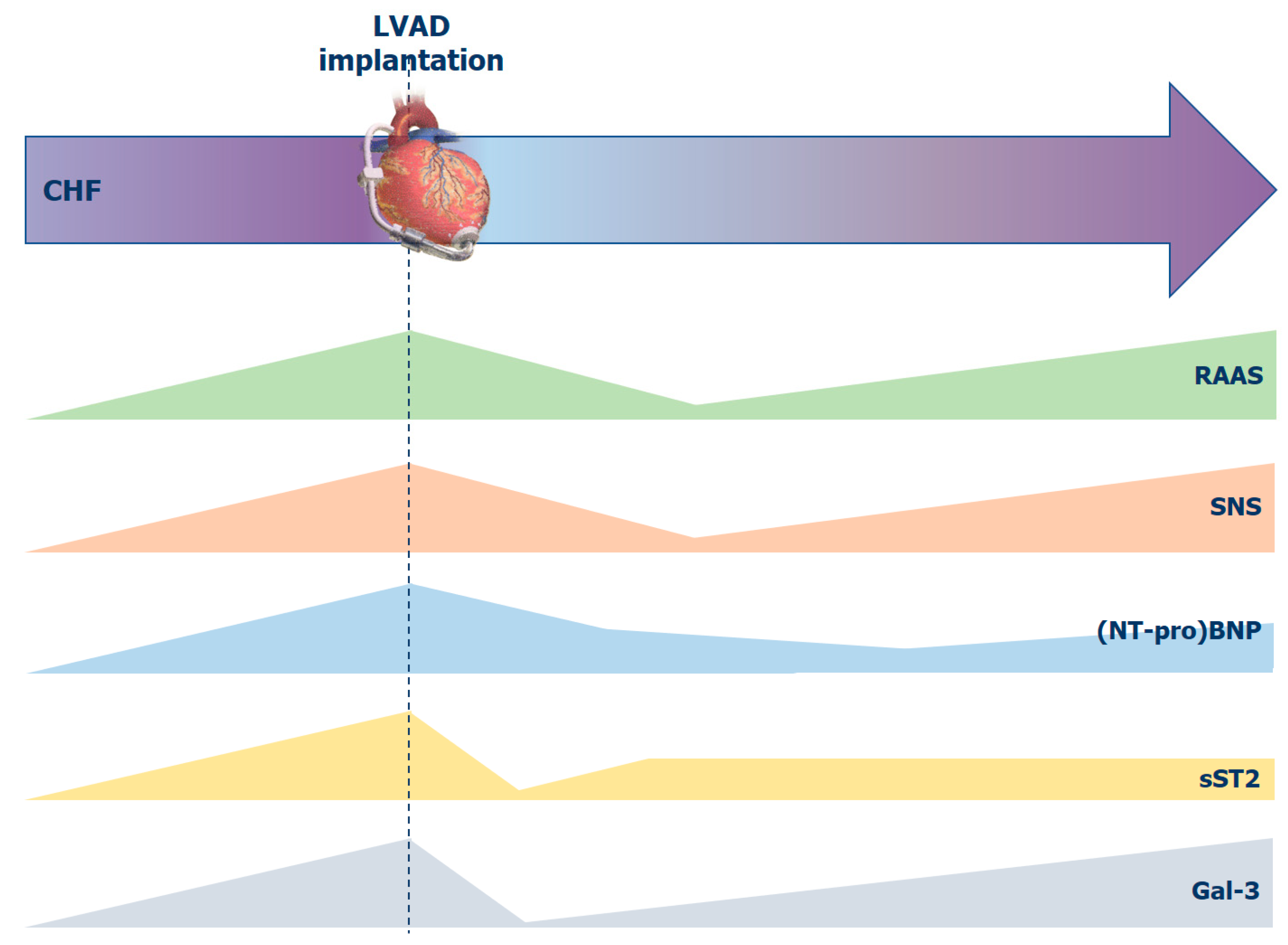 Biomolecules 12 00334 g003