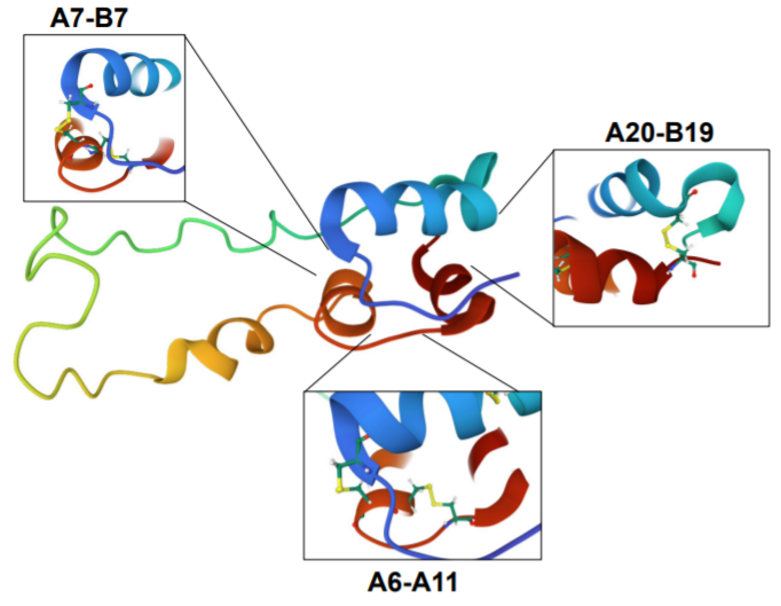 Biomolecules 12 00335 g003 Biomolecules 12 00335 g003