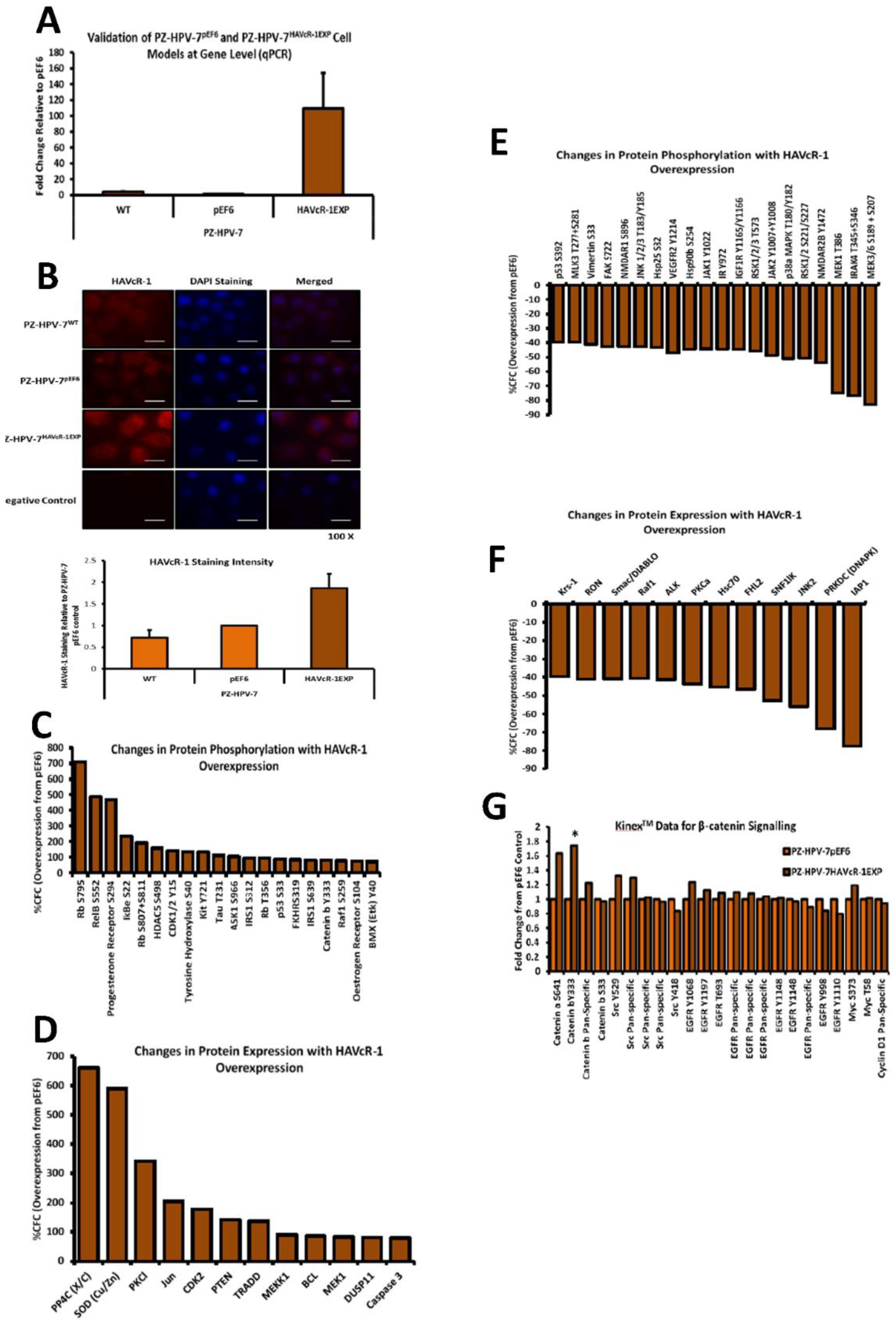 Biomolecules 12 00338 g005 550