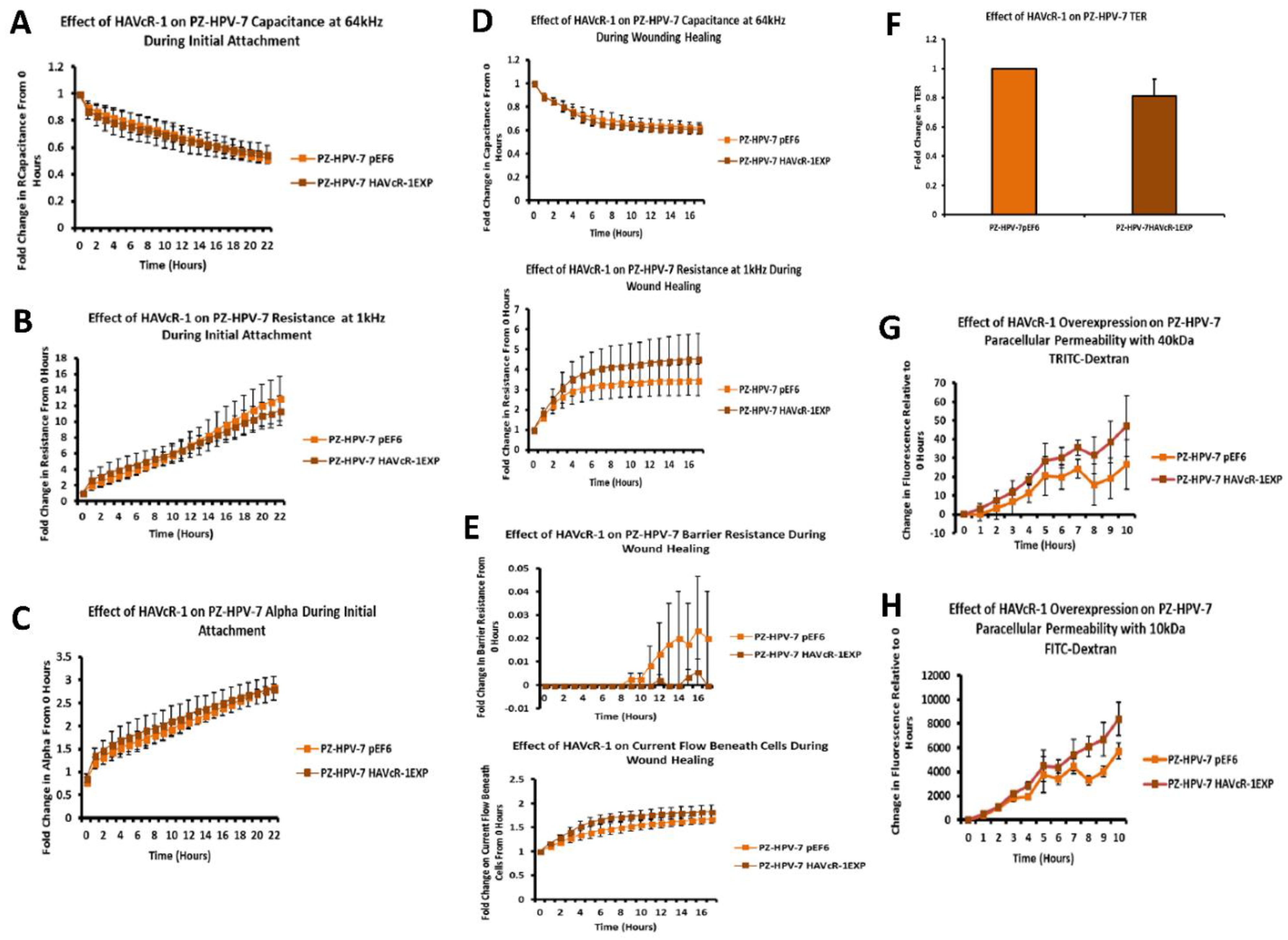 Biomolecules 12 00338 g007 550