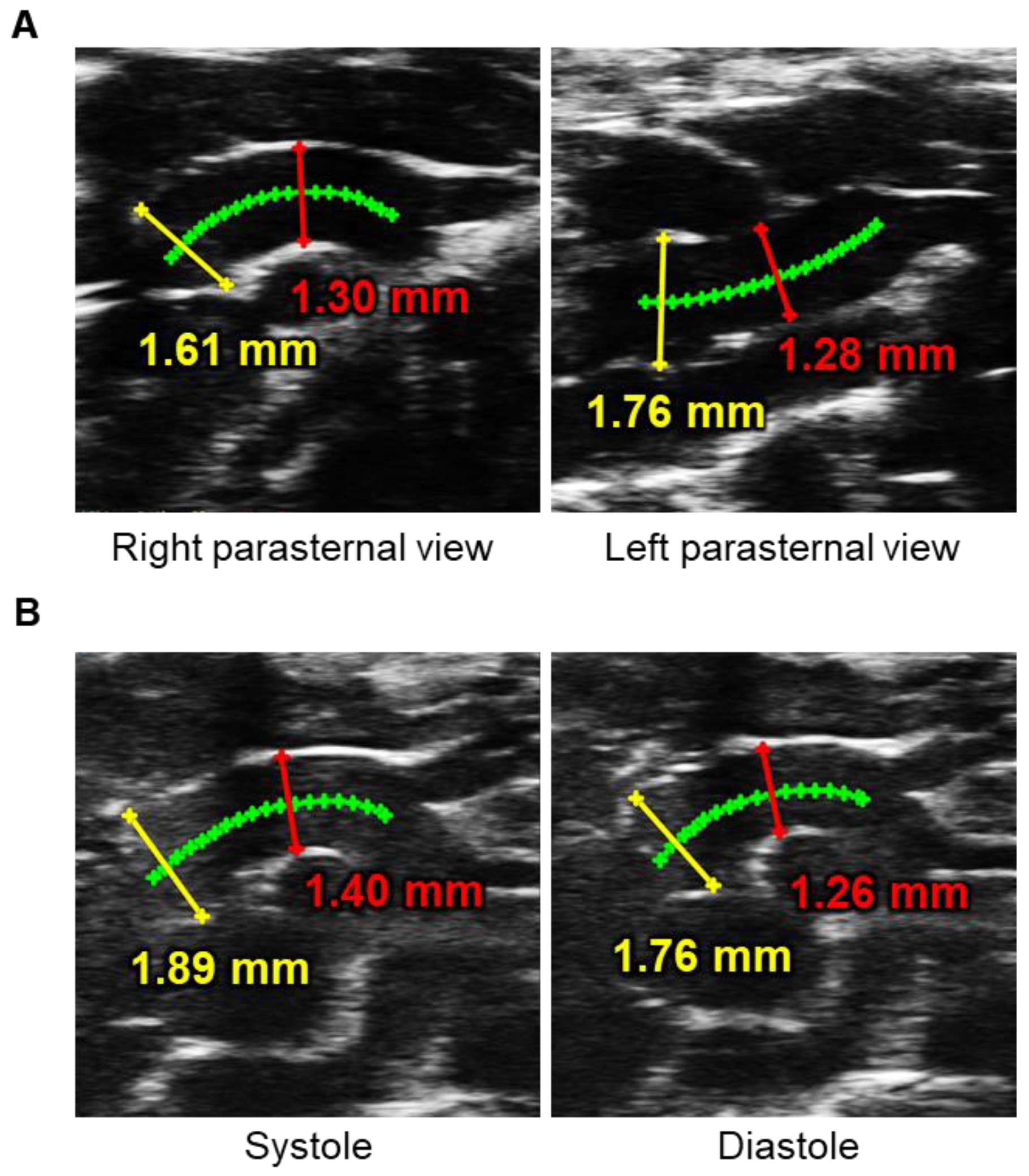 Biomolecules 12 00339 g003 Biomolecules 12 00339 g003