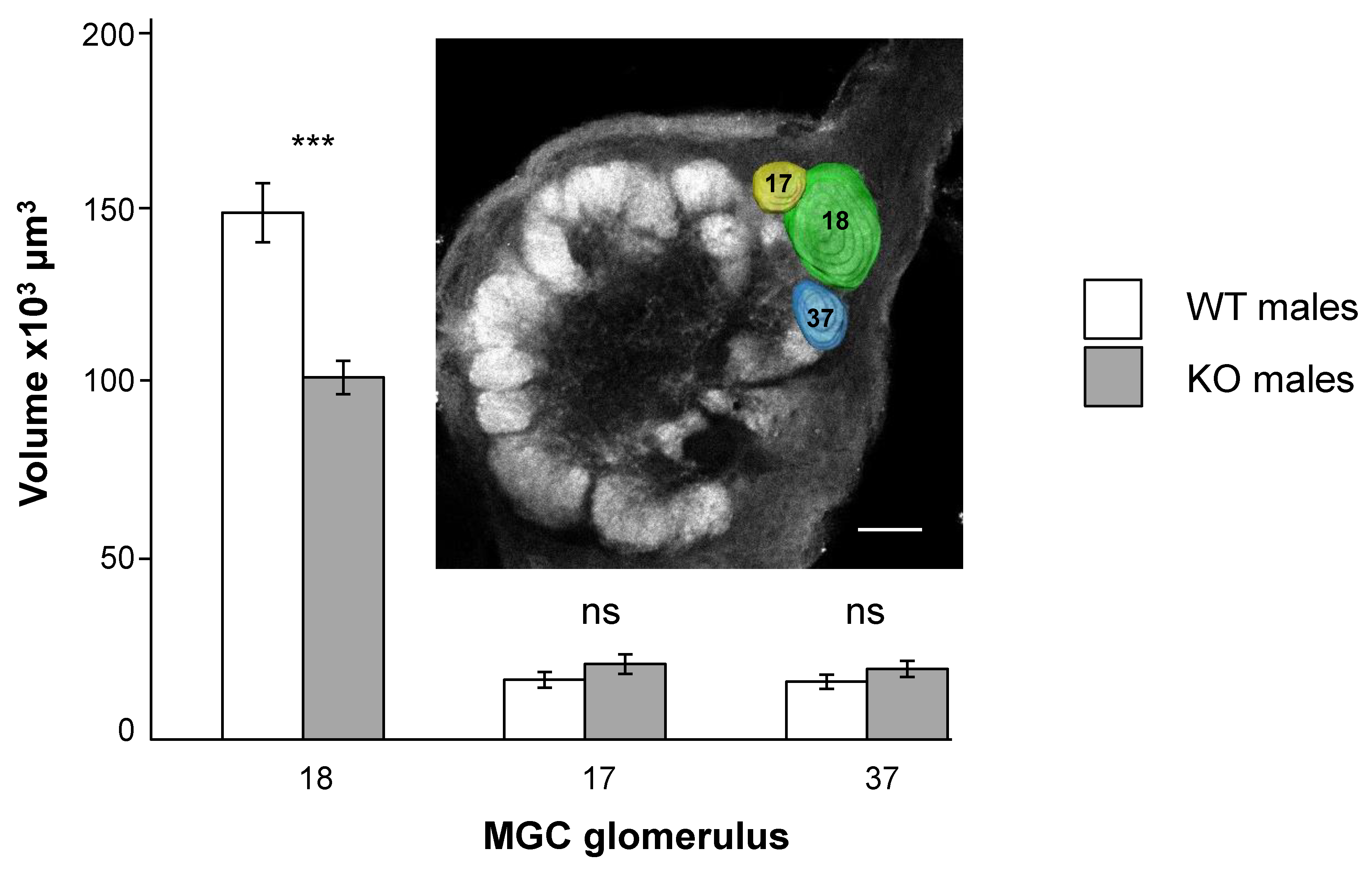 Biomolecules 12 00341 g002