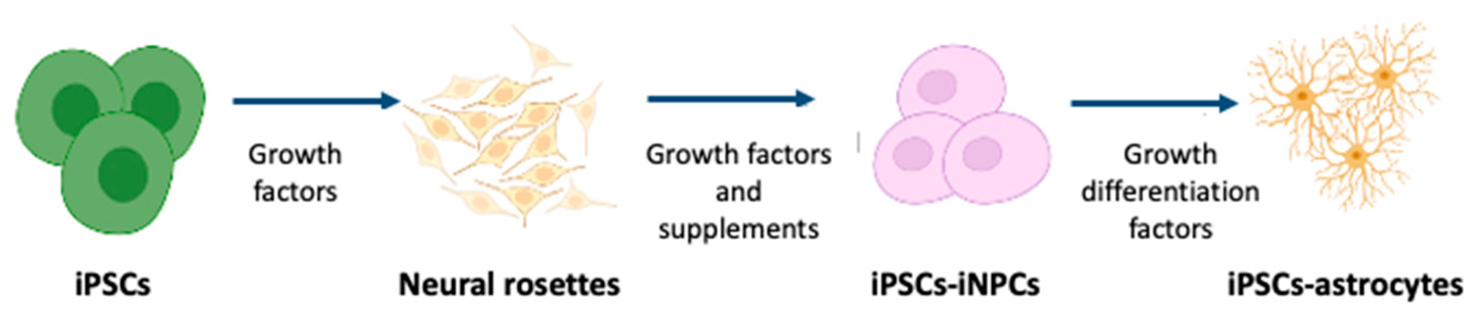 Biomolecules 12 00344 g001