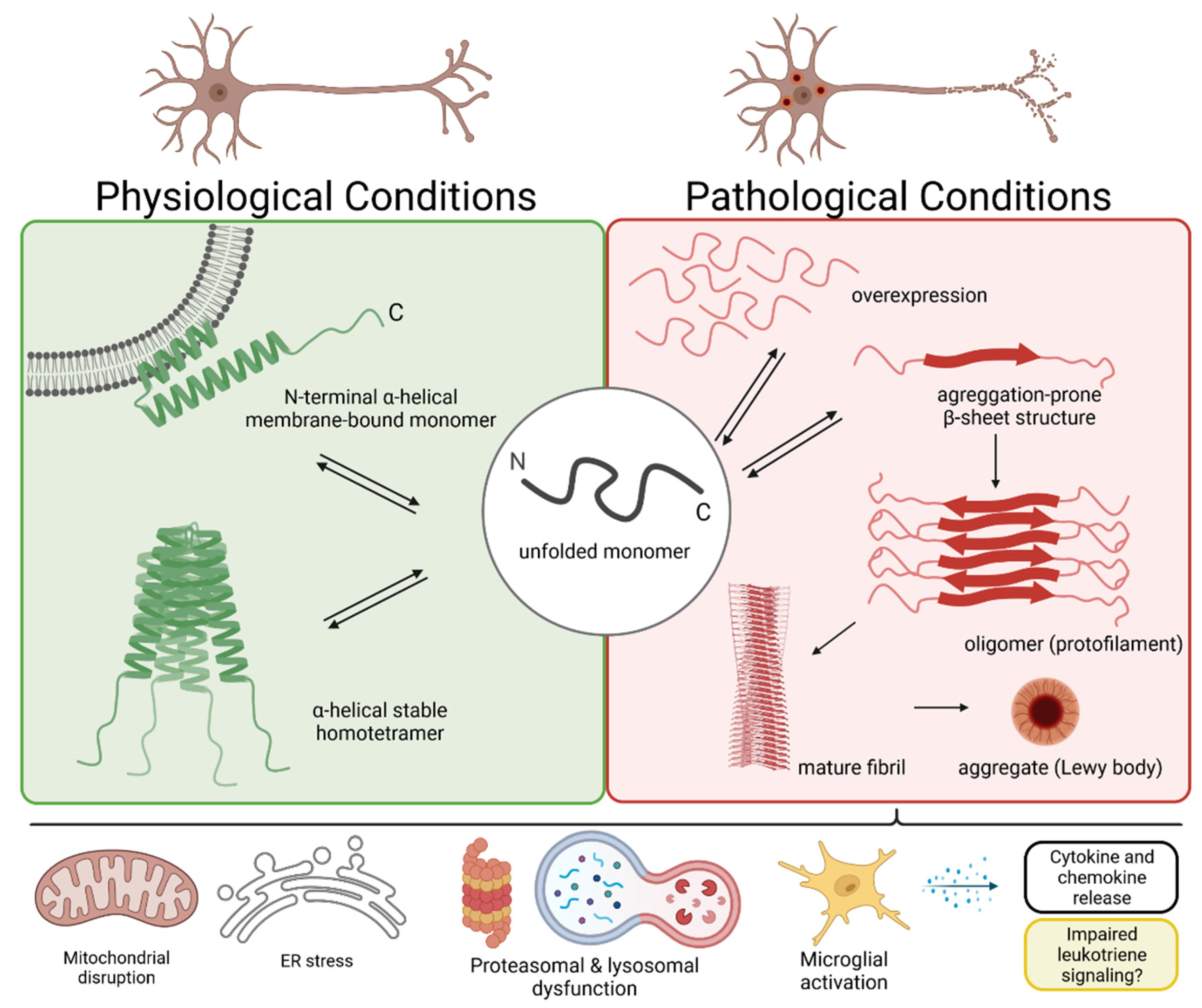 Biomolecules 12 00346 g002