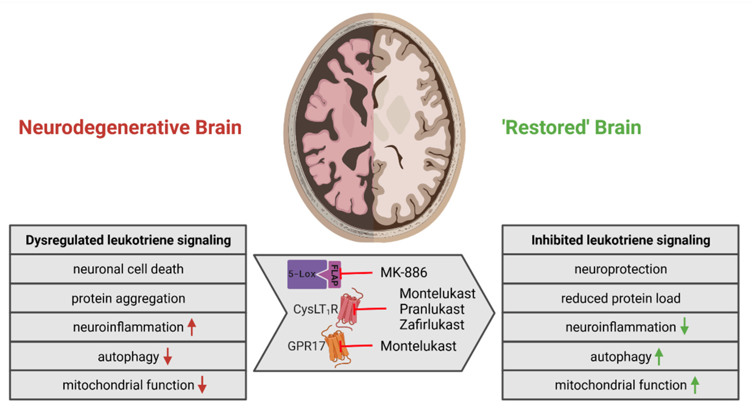 Biomolecules 12 00346 g004