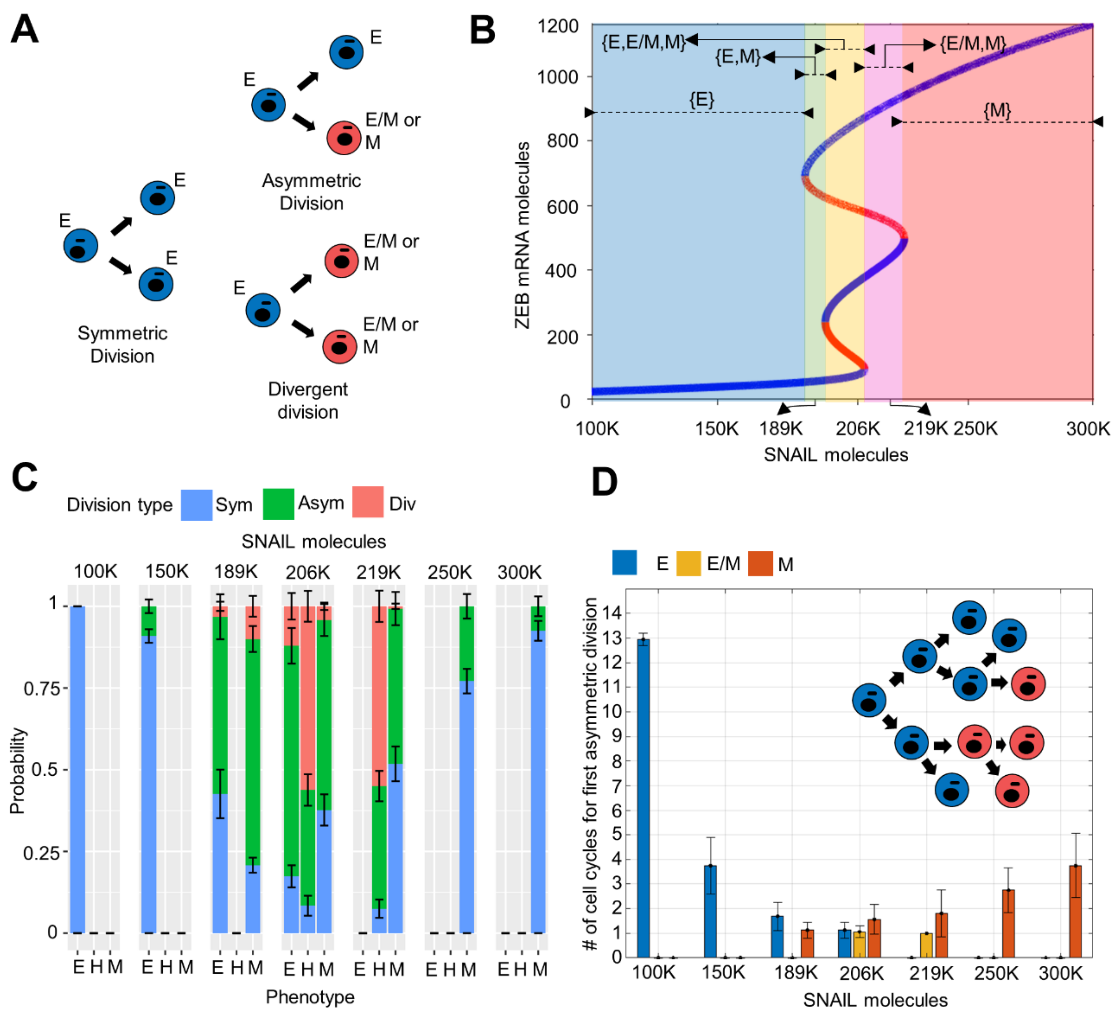 Biomolecules 12 00348 g004