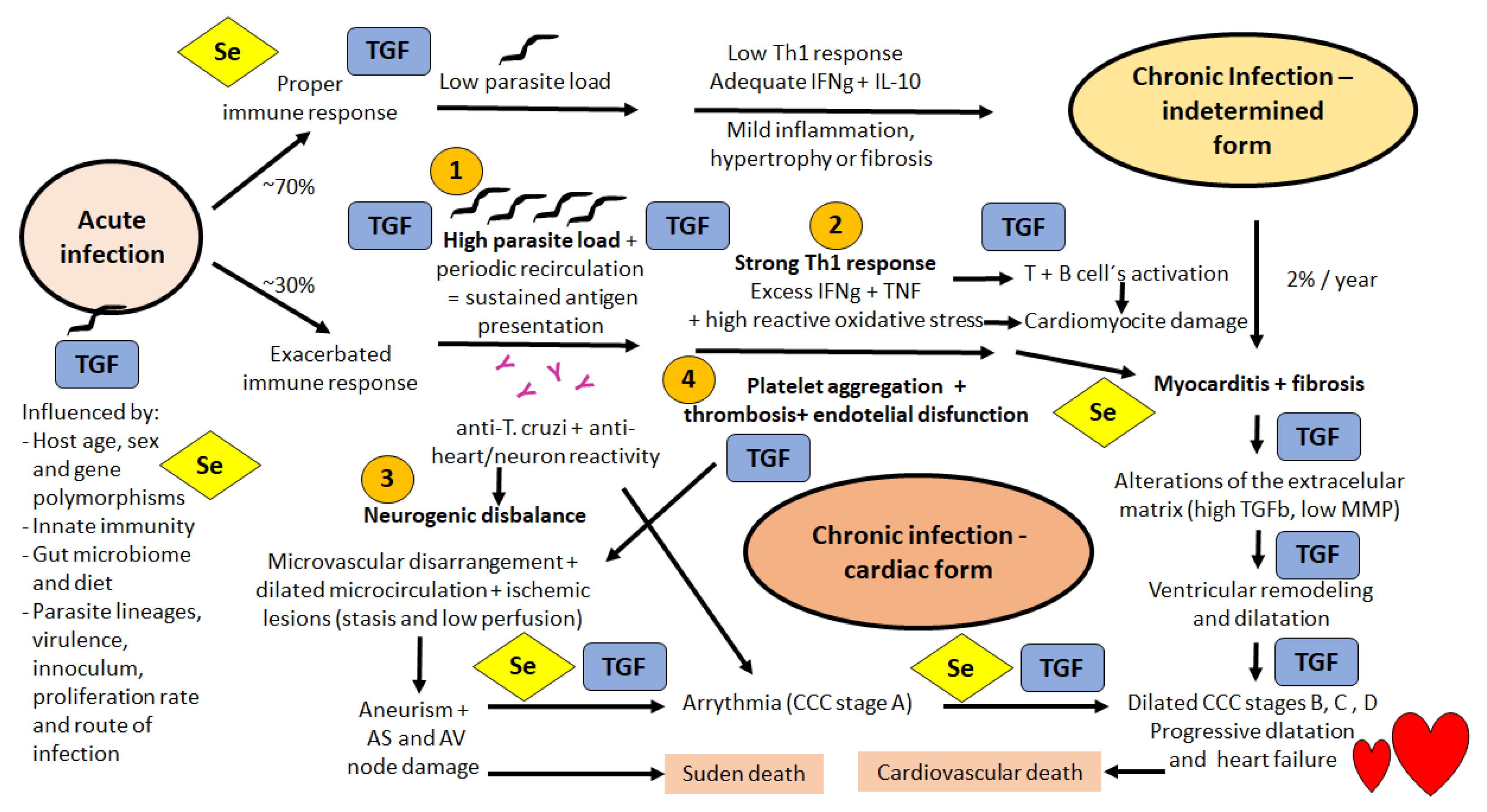 Biomolecules 12 00349 g001