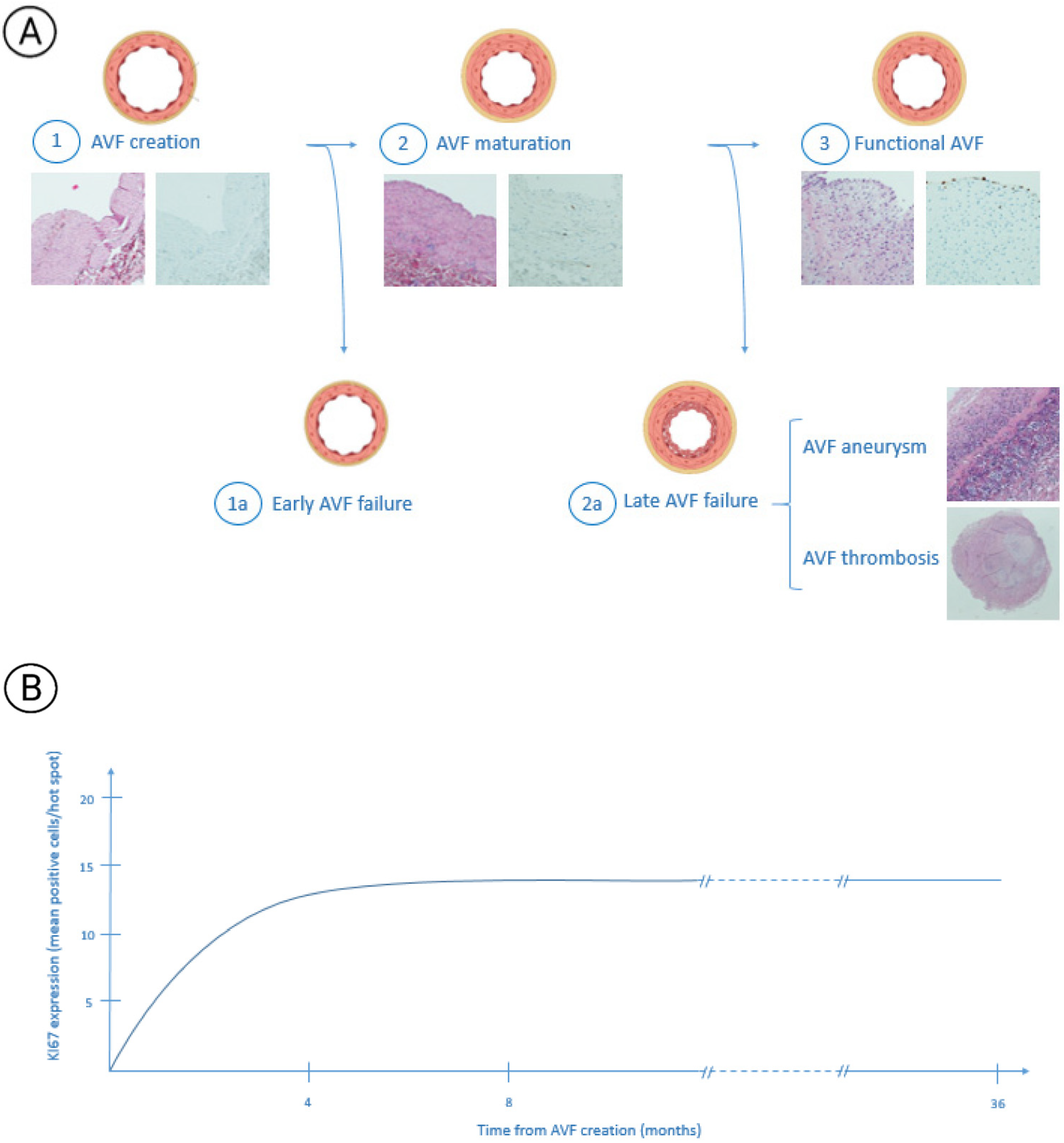 Biomolecules 12 00350 g002