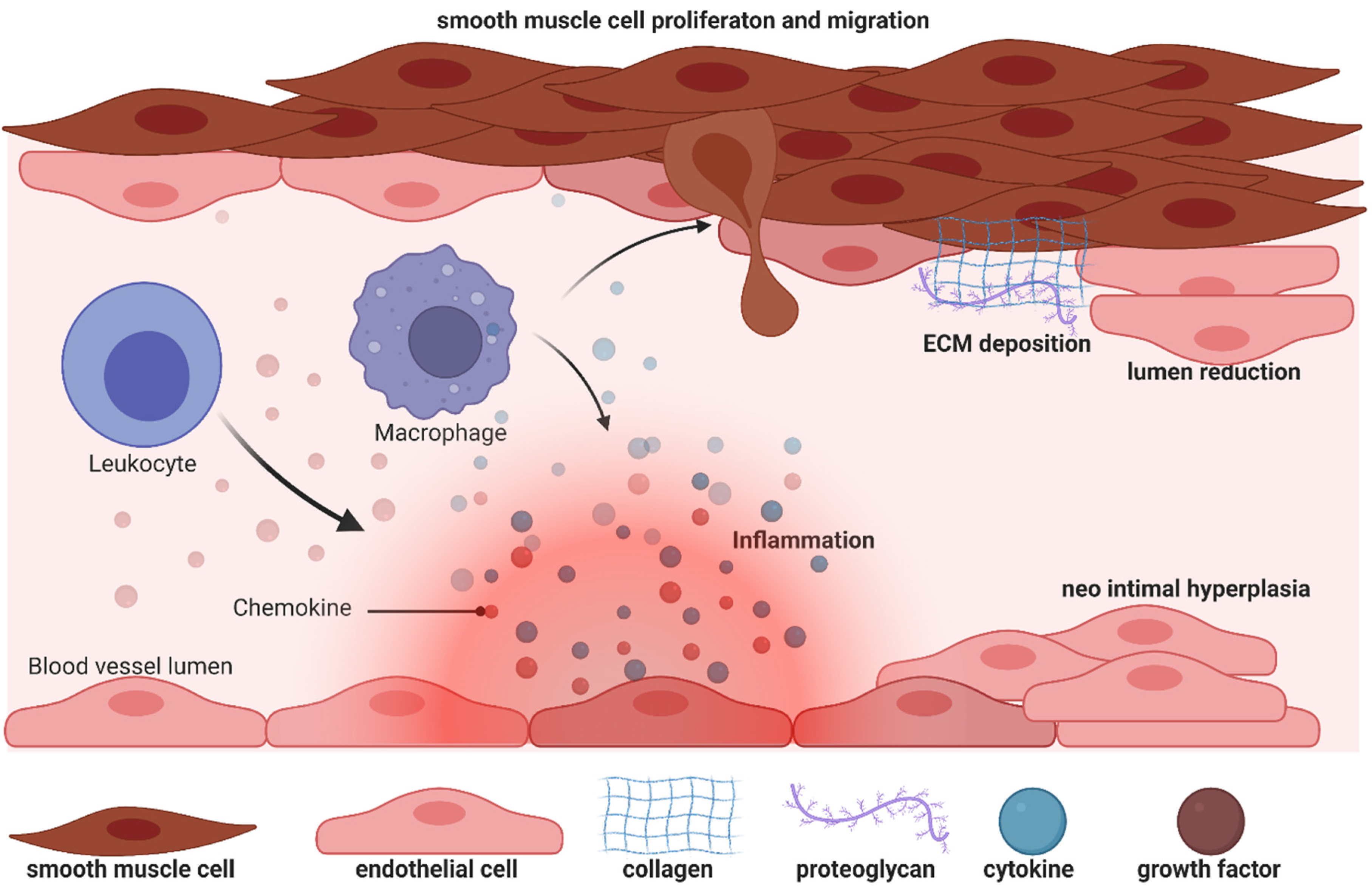 Biomolecules 12 00350 g003