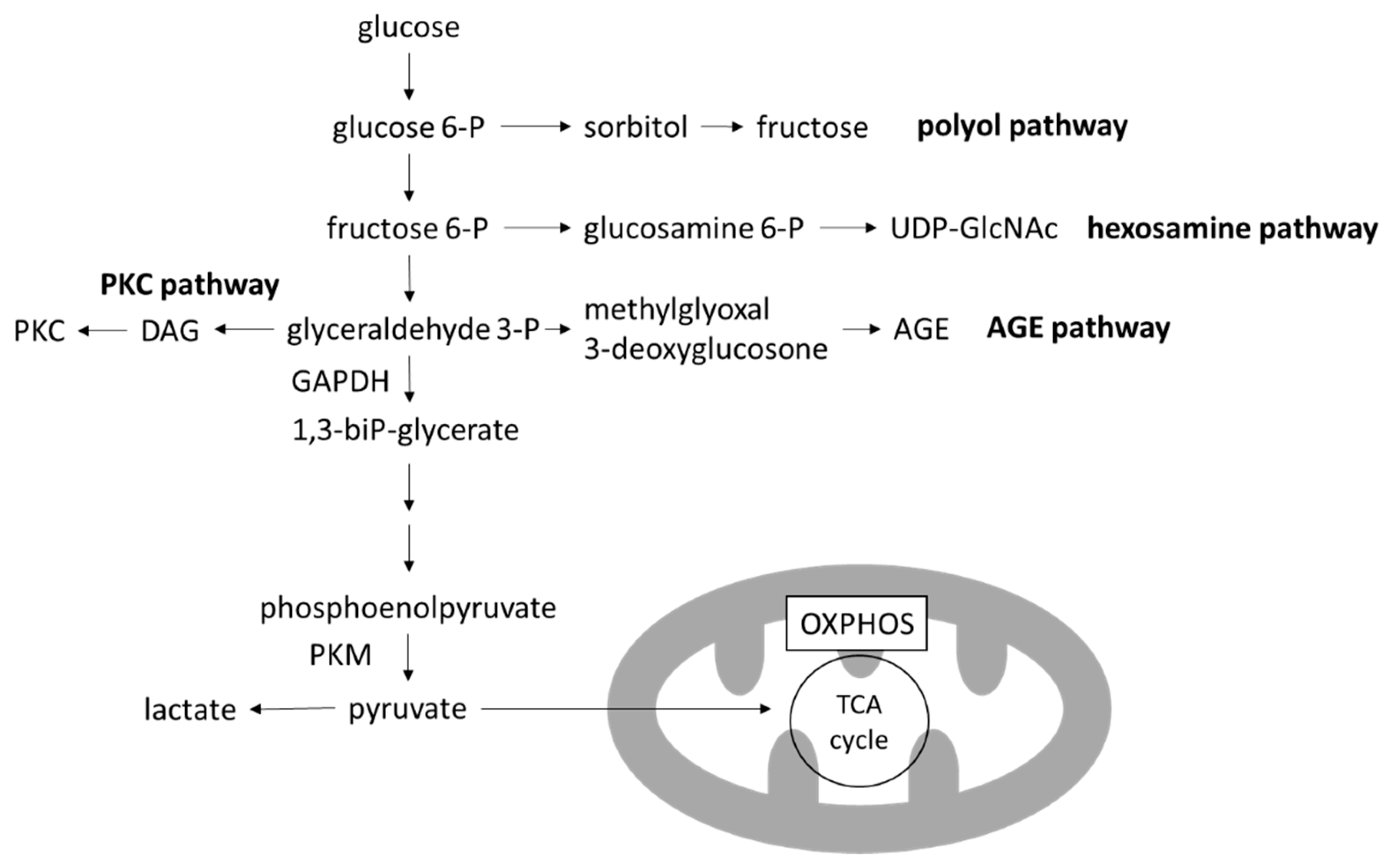 Biomolecules 12 00351 g003 Biomolecules 12 00351 g003