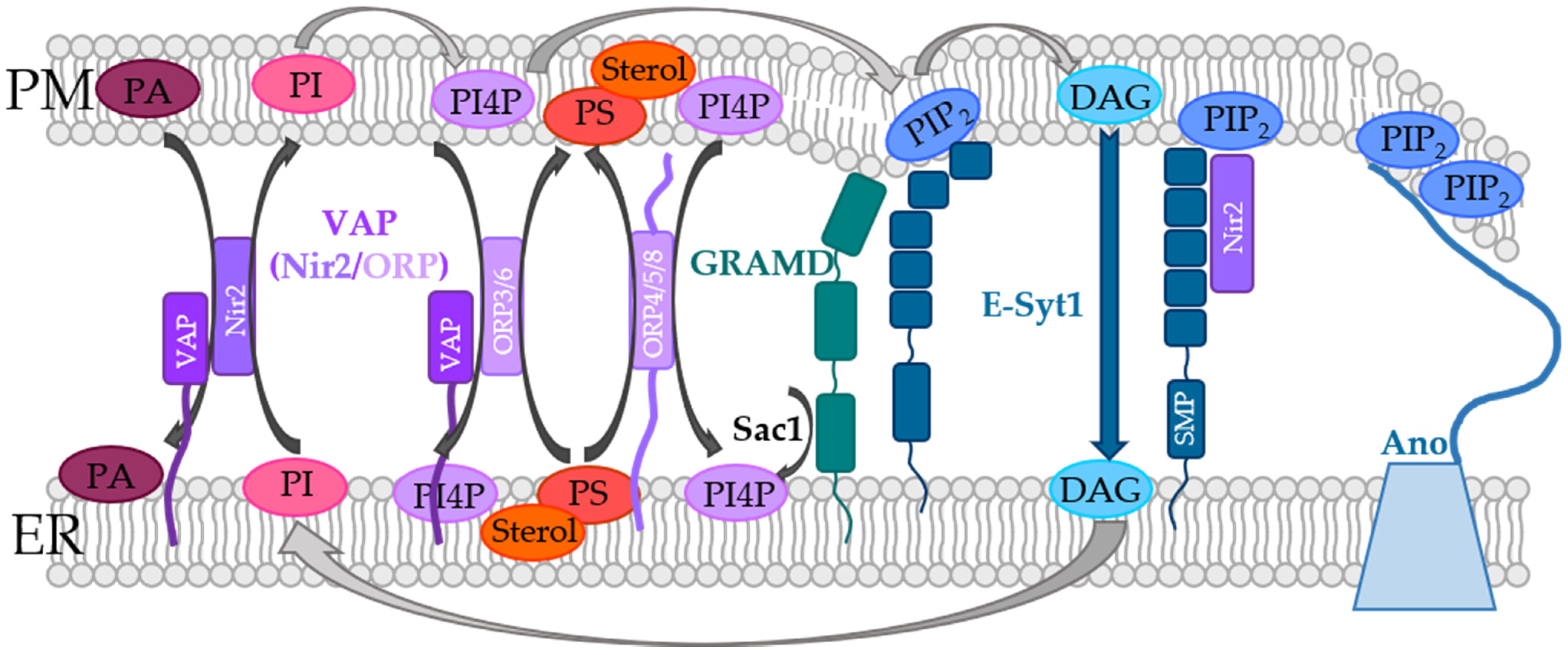 Biomolecules 12 00352 g003 Biomolecules 12 00352 g003