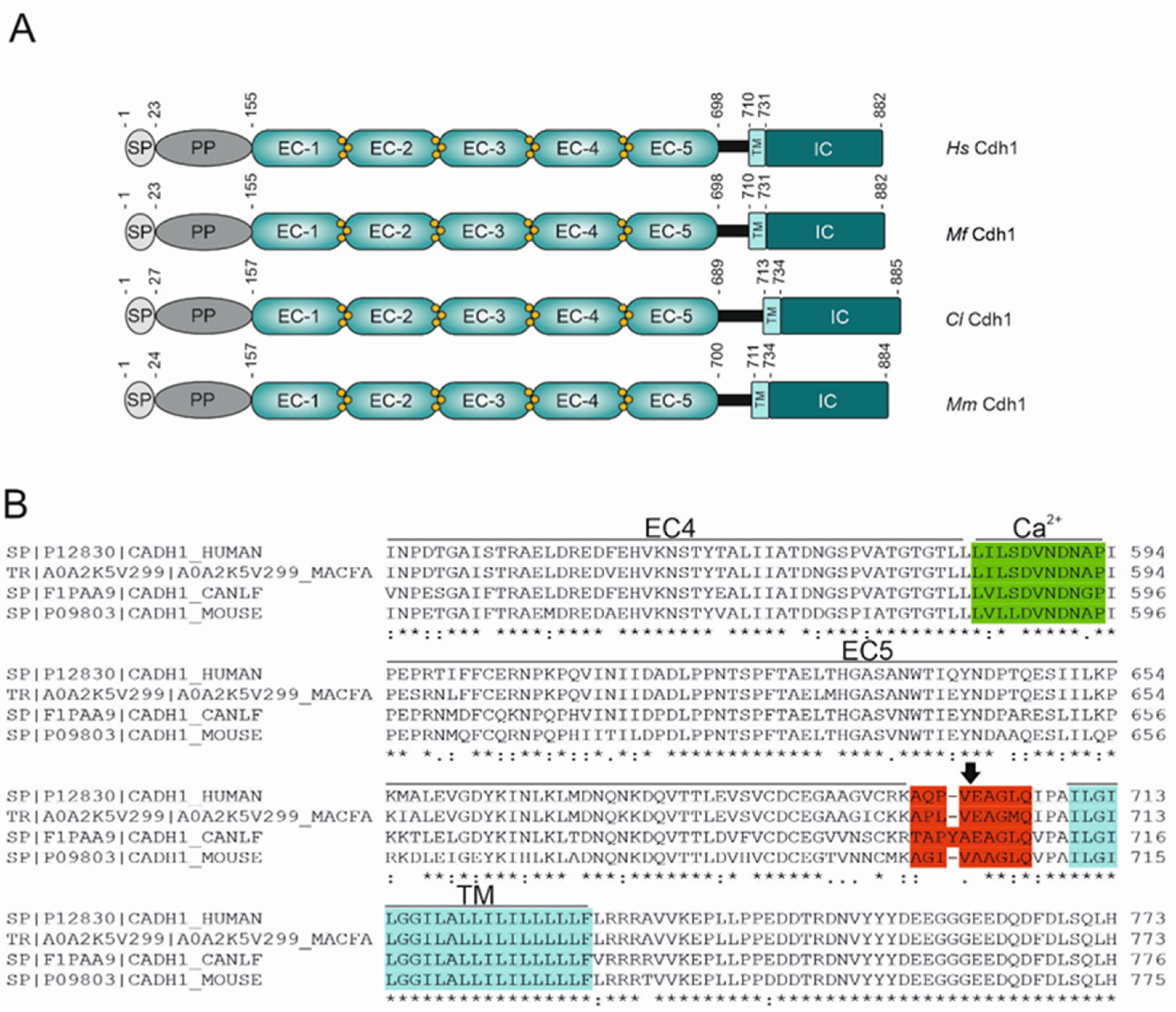Biomolecules 12 00356 g001