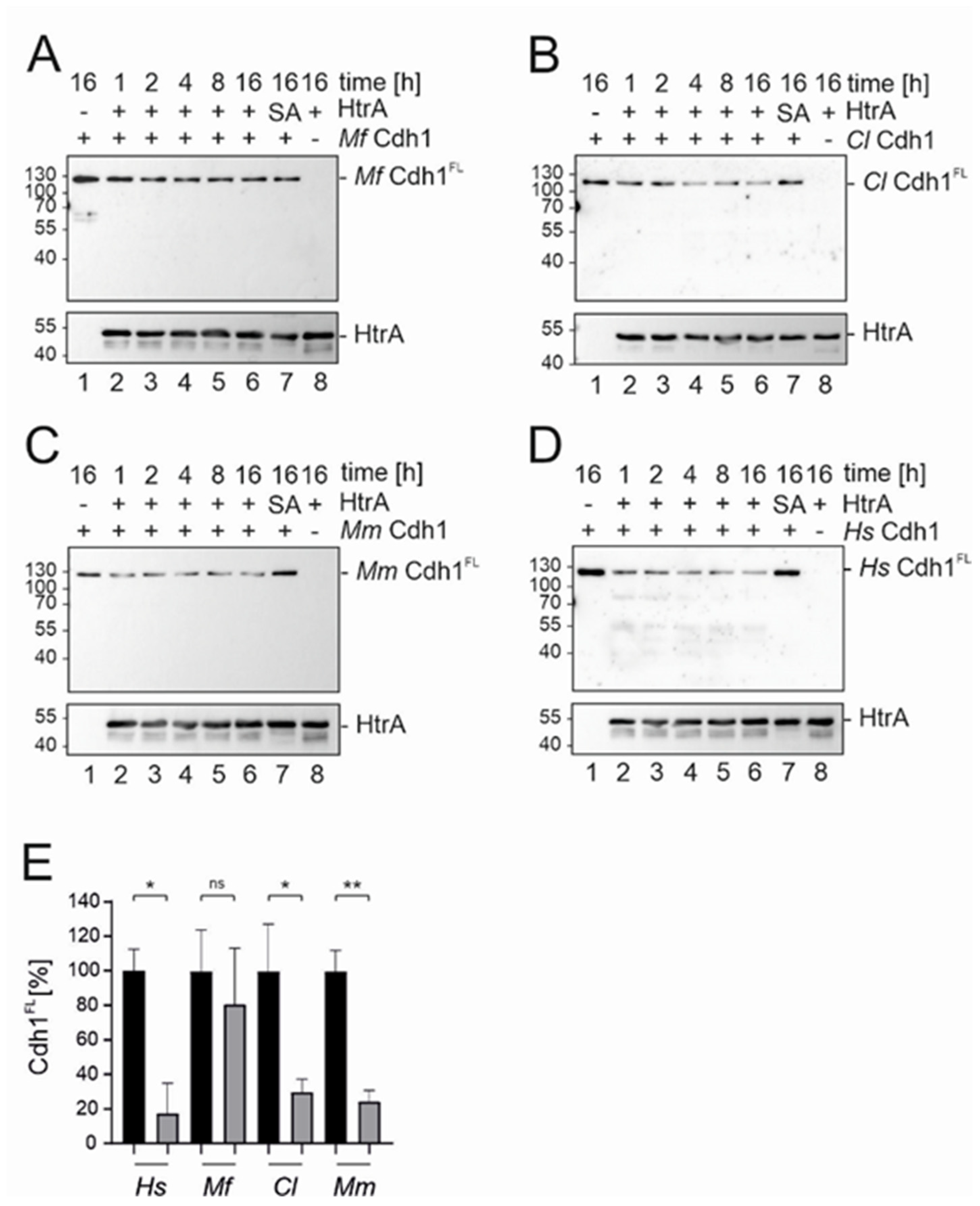 Biomolecules 12 00356 g003