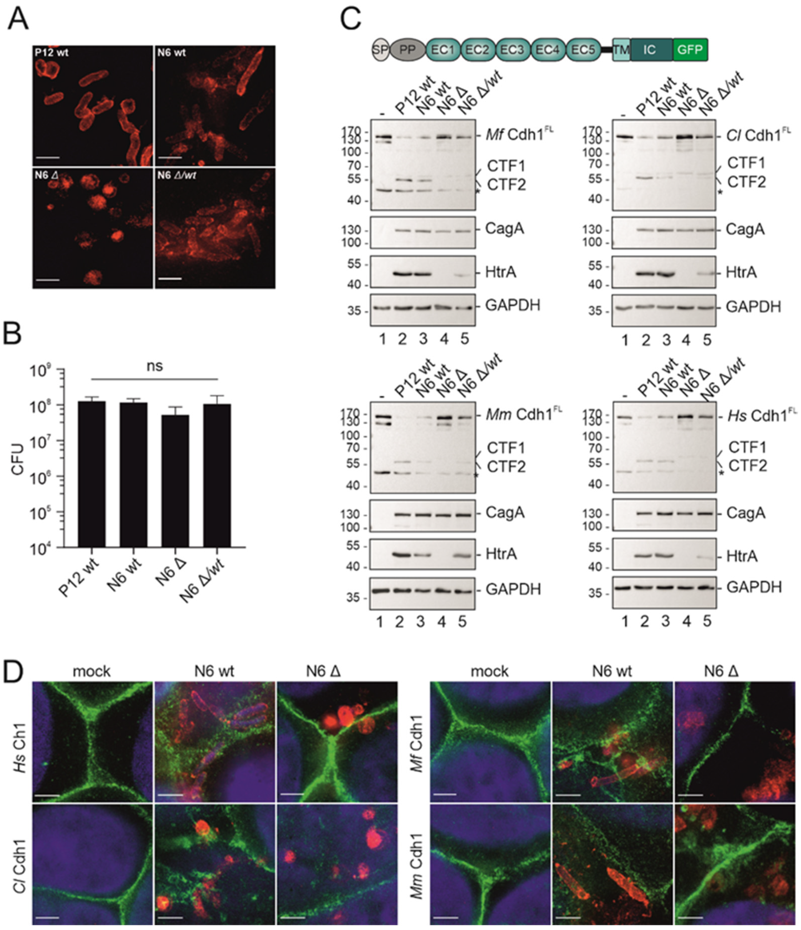 Biomolecules 12 00356 g004