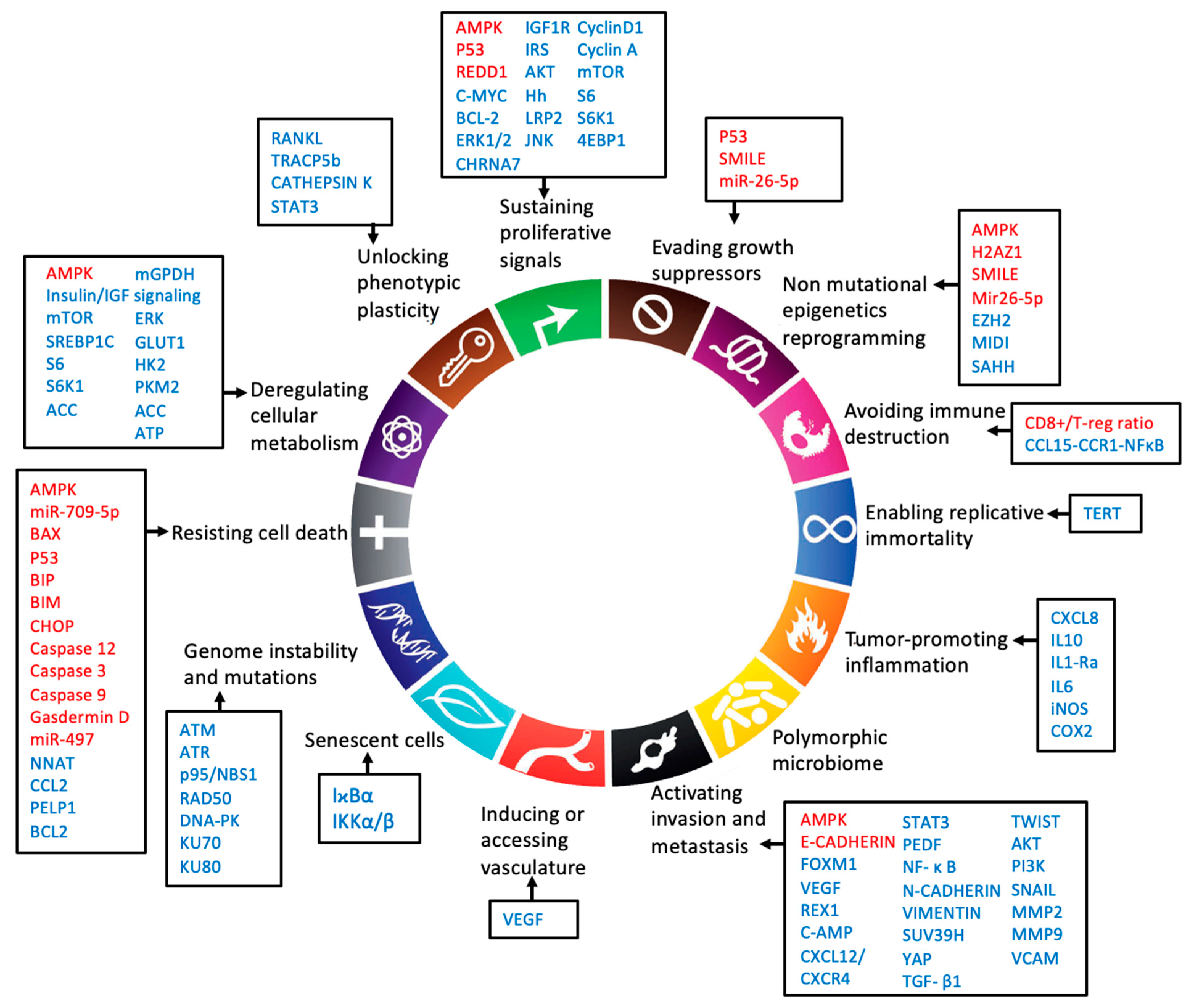 Biomolecules 12 00357 g002