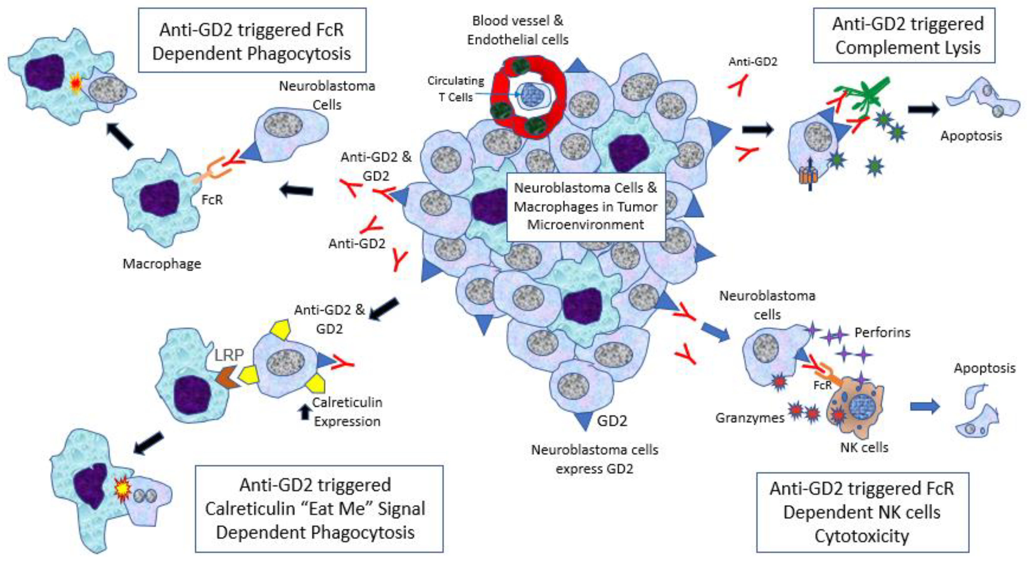 Biomolecules 12 00358 g002 Biomolecules 12 00358 g002