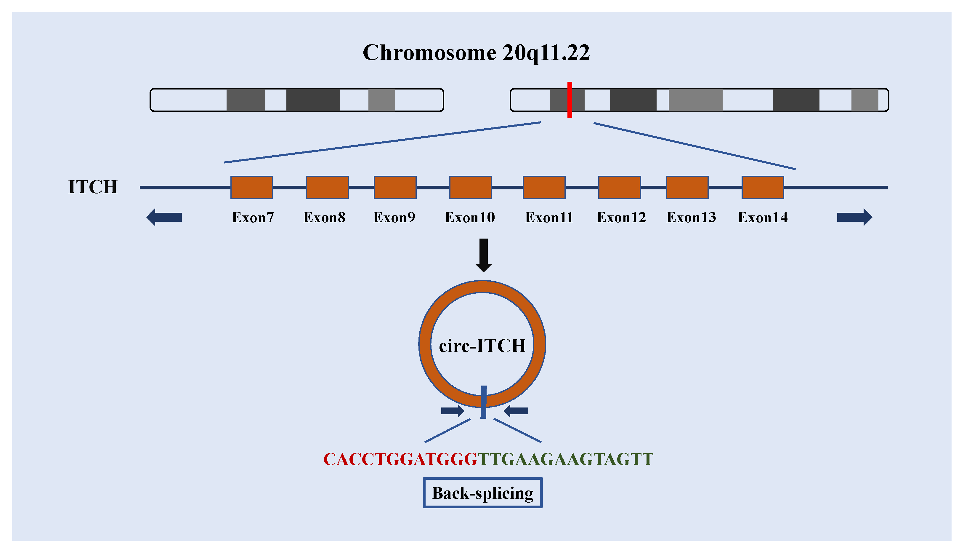 Biomolecules 12 00359 g002