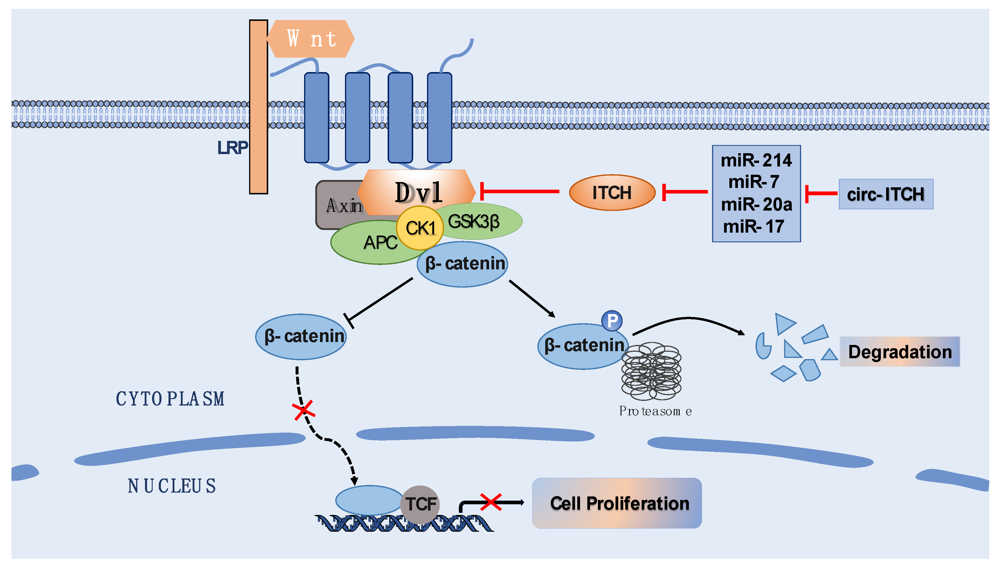 Biomolecules 12 00359 g003
