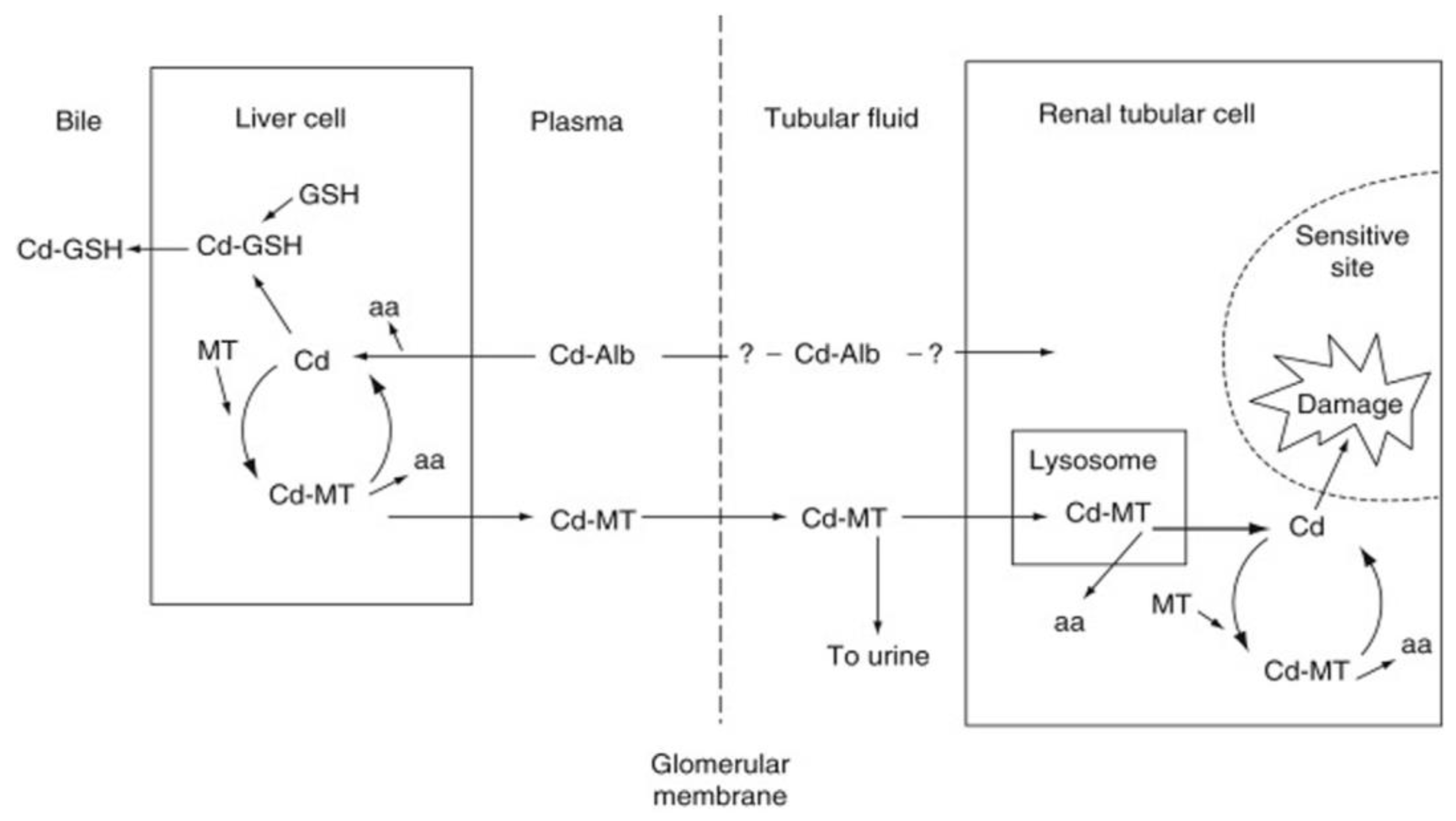 Biomolecules 12 00360 g002 Biomolecules 12 00360 g002