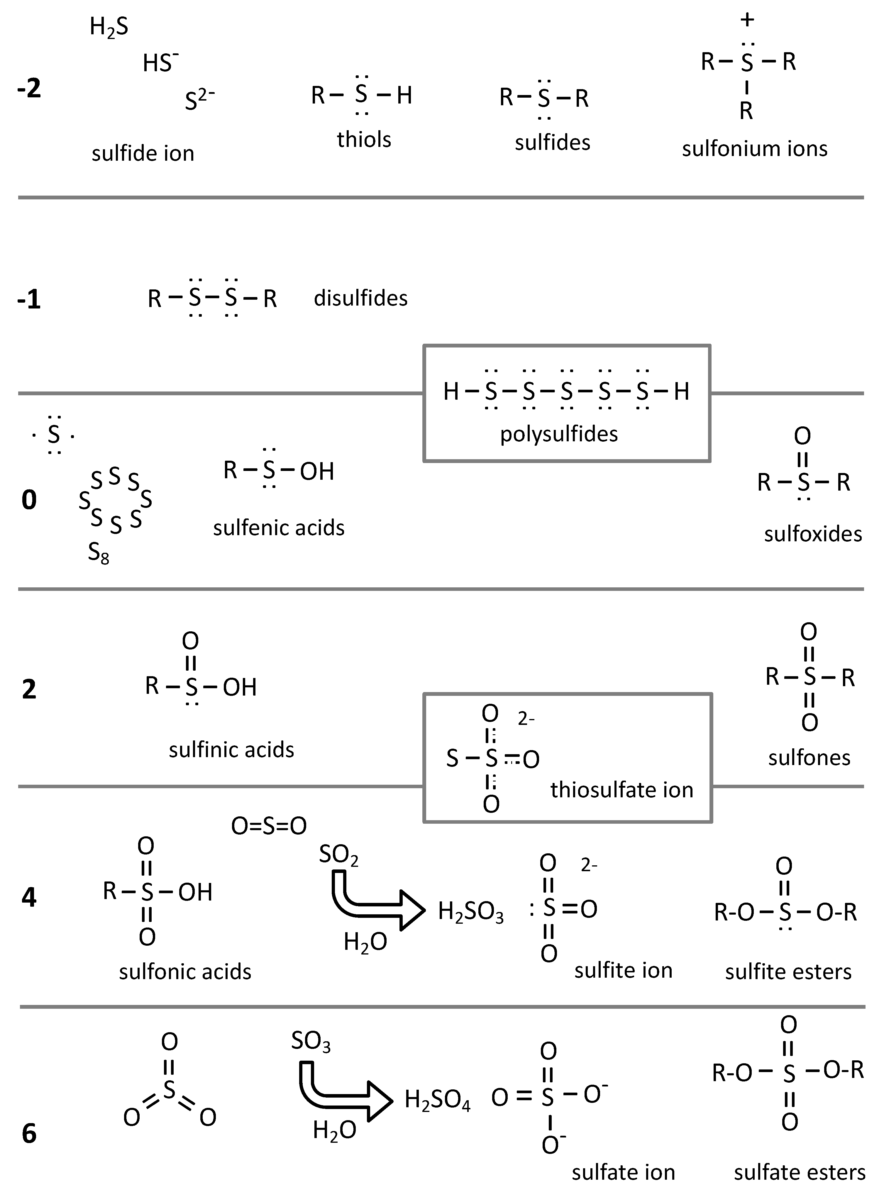 Biomolecules 12 00361 g002