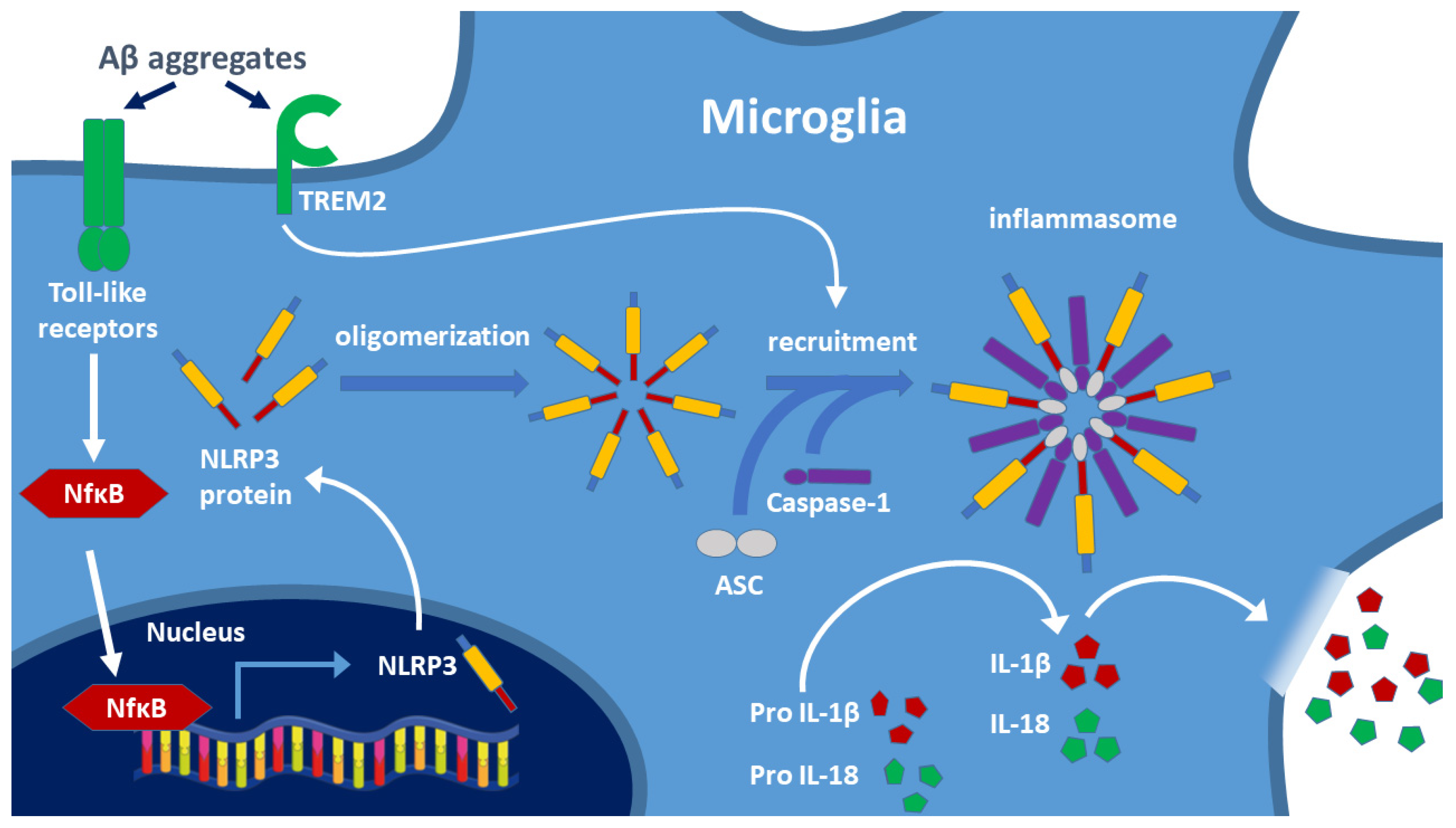Biomolecules 12 00363 g003 Biomolecules 12 00363 g003