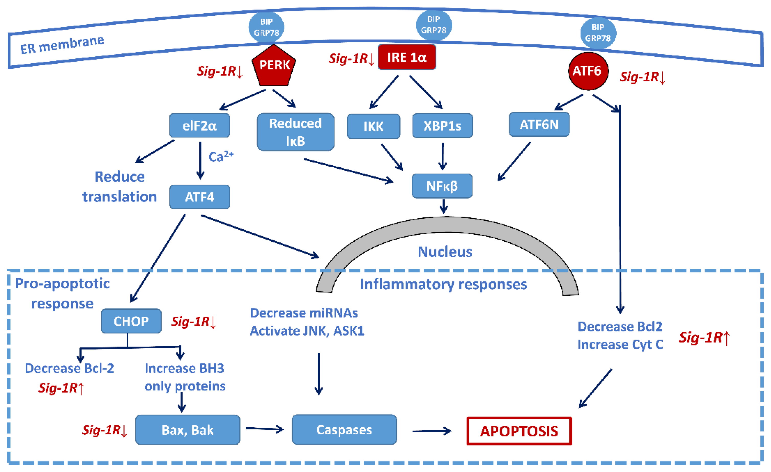 Biomolecules 12 00363 g004 Biomolecules 12 00363 g004
