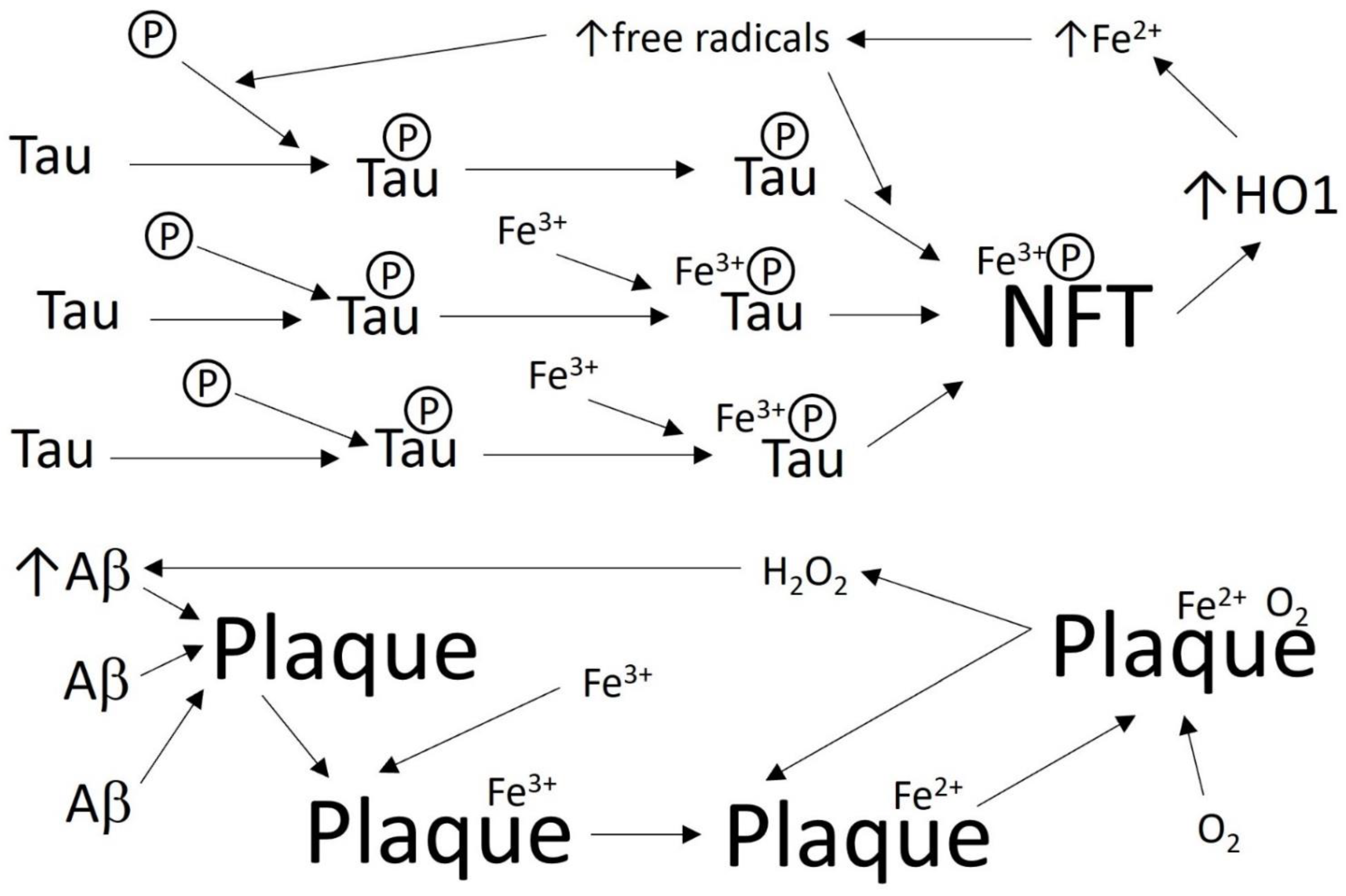 Biomolecules 12 00365 g001 550