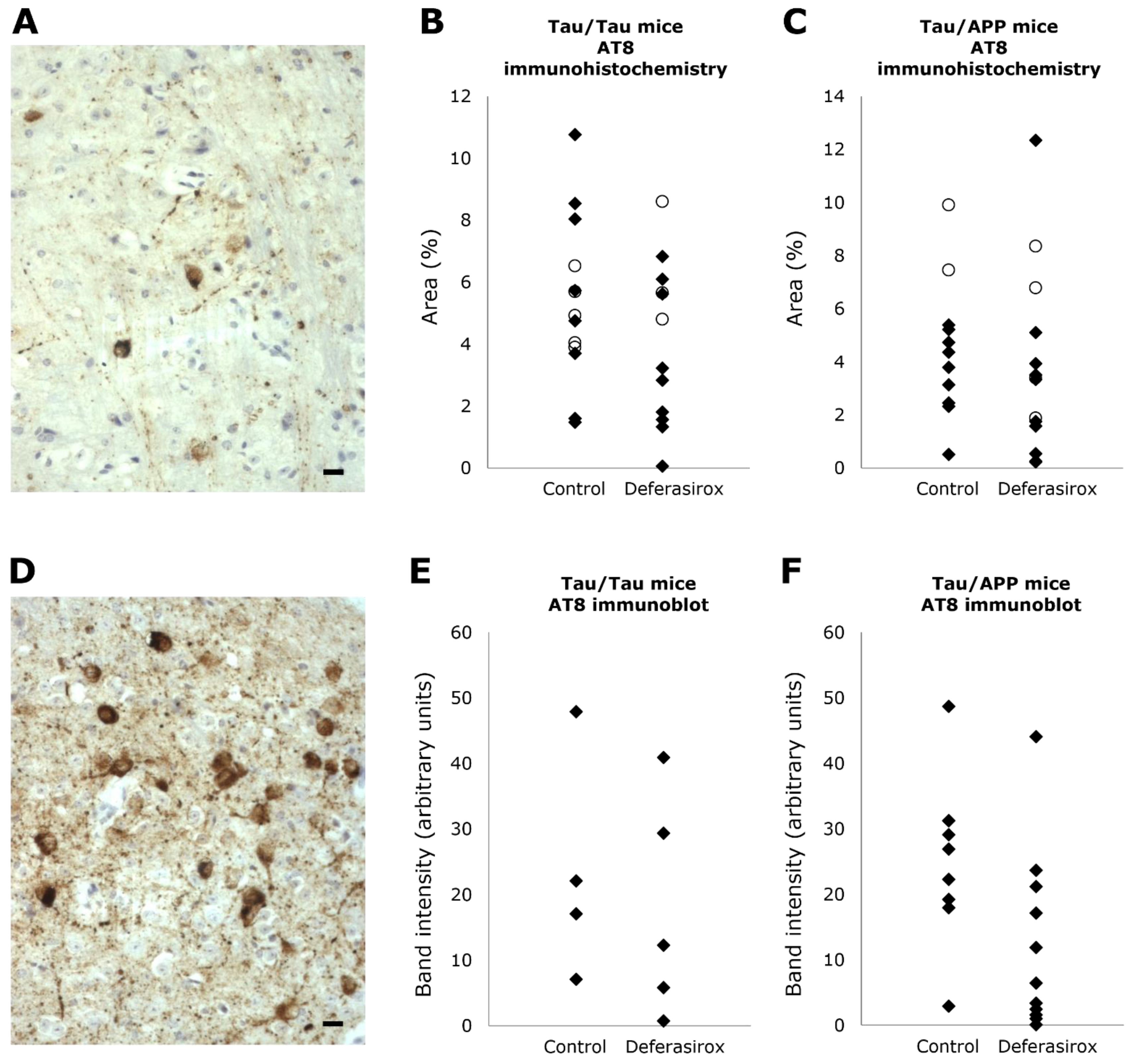 Biomolecules 12 00365 g004 550