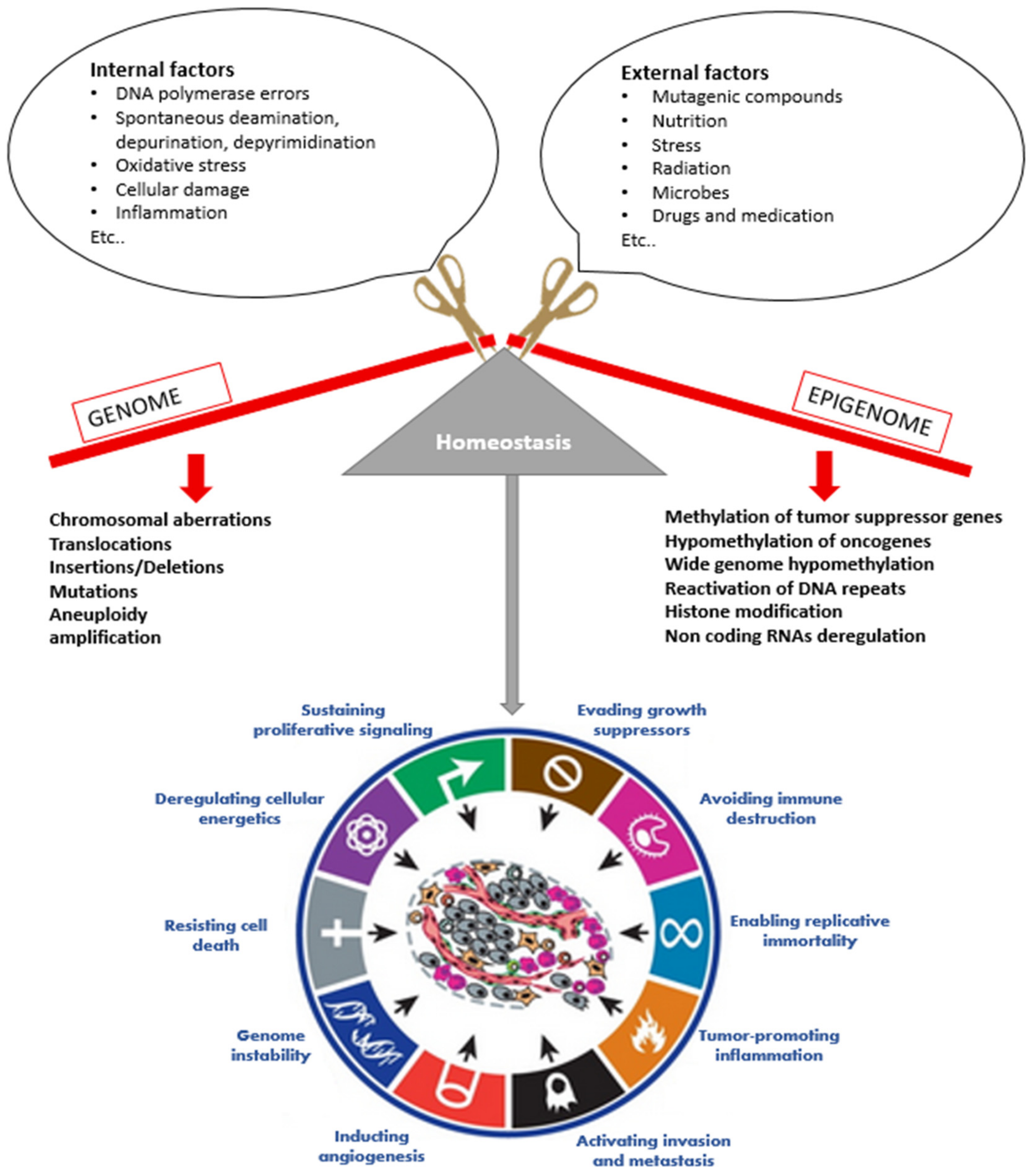 Pan-cancer atlas of somatic core and linker histone mutations