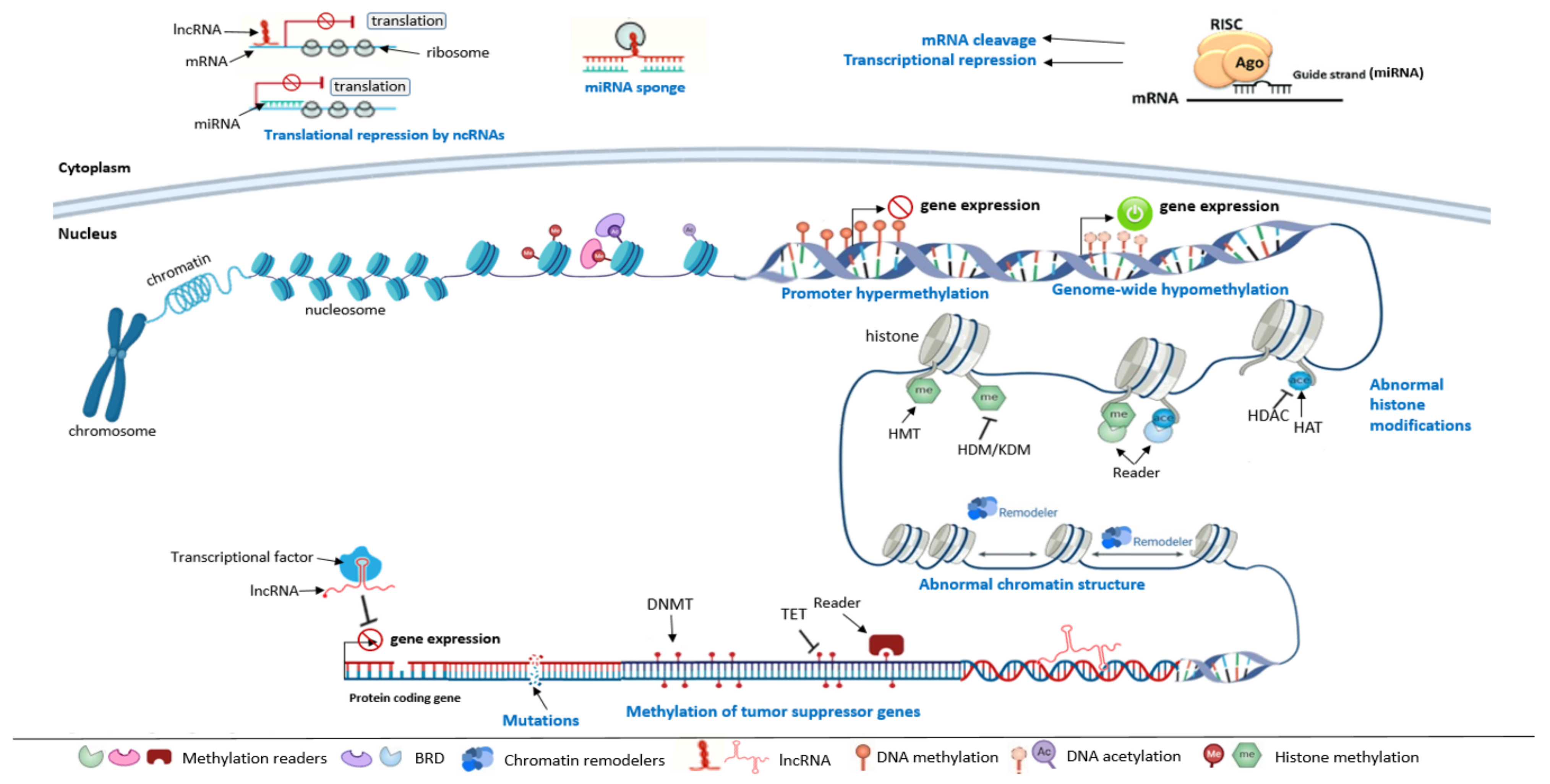 Biomolecules 12 00367 g002
